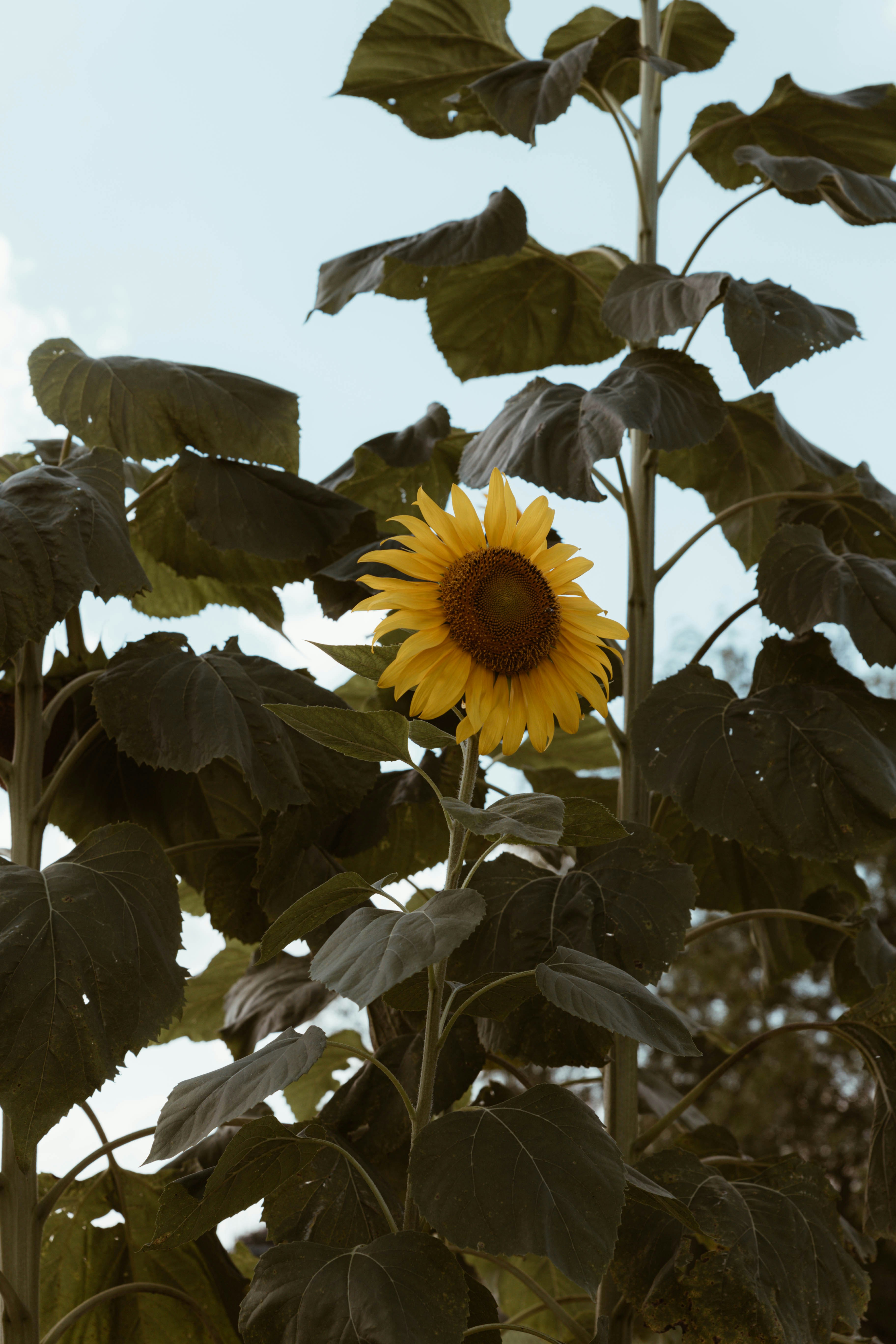 Photo by benignohoyuela