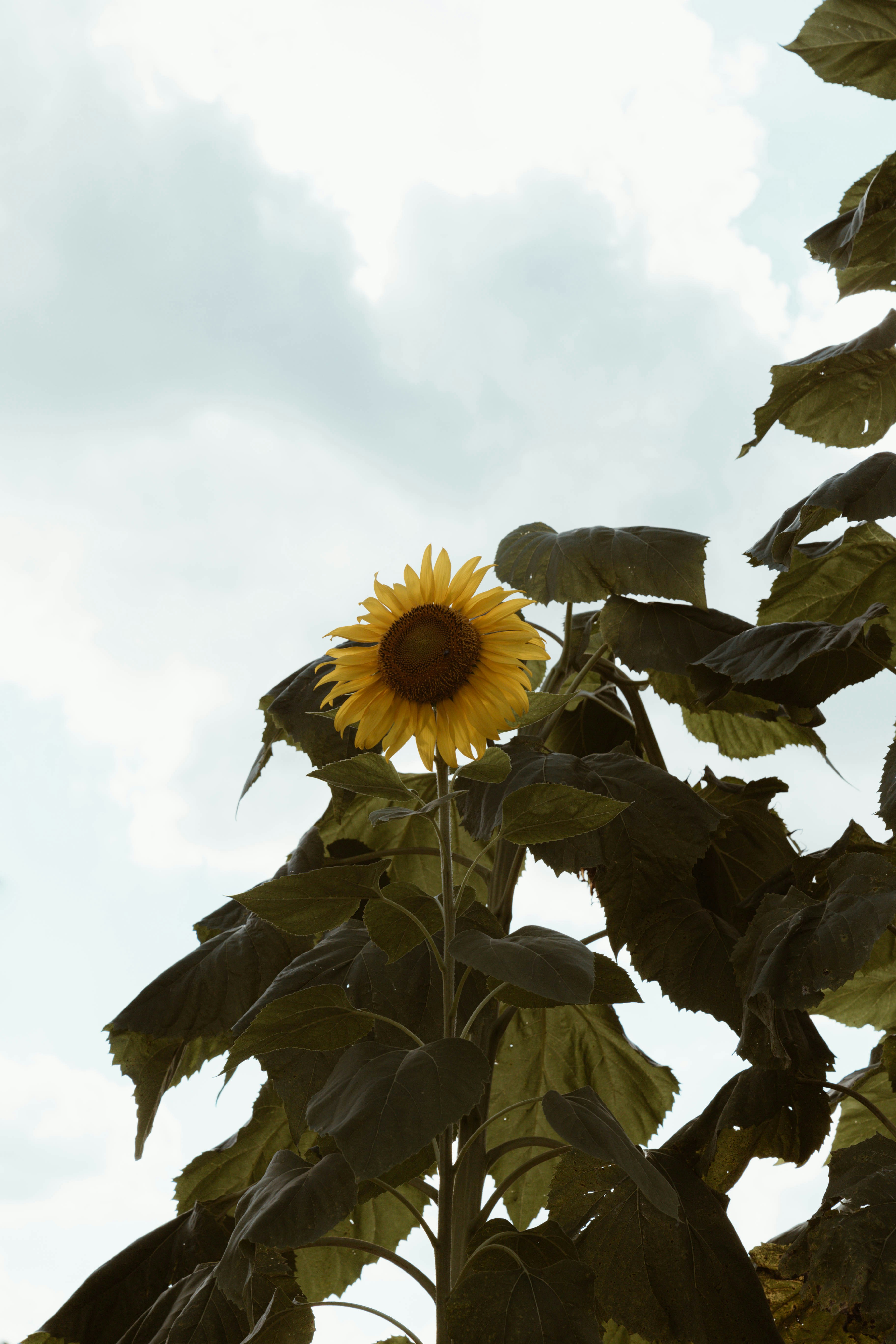 Photo by benignohoyuela