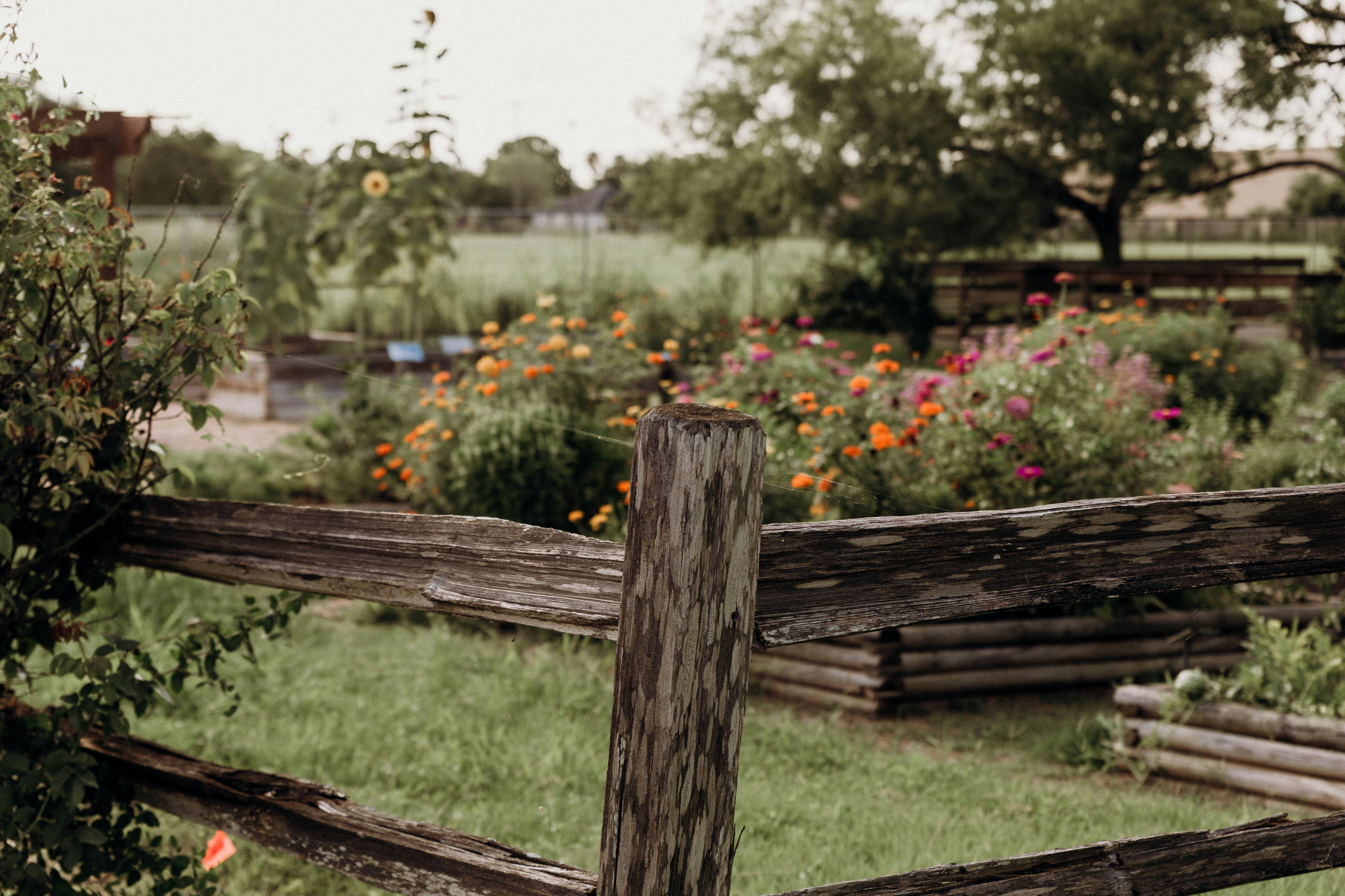 Photo by benignohoyuela