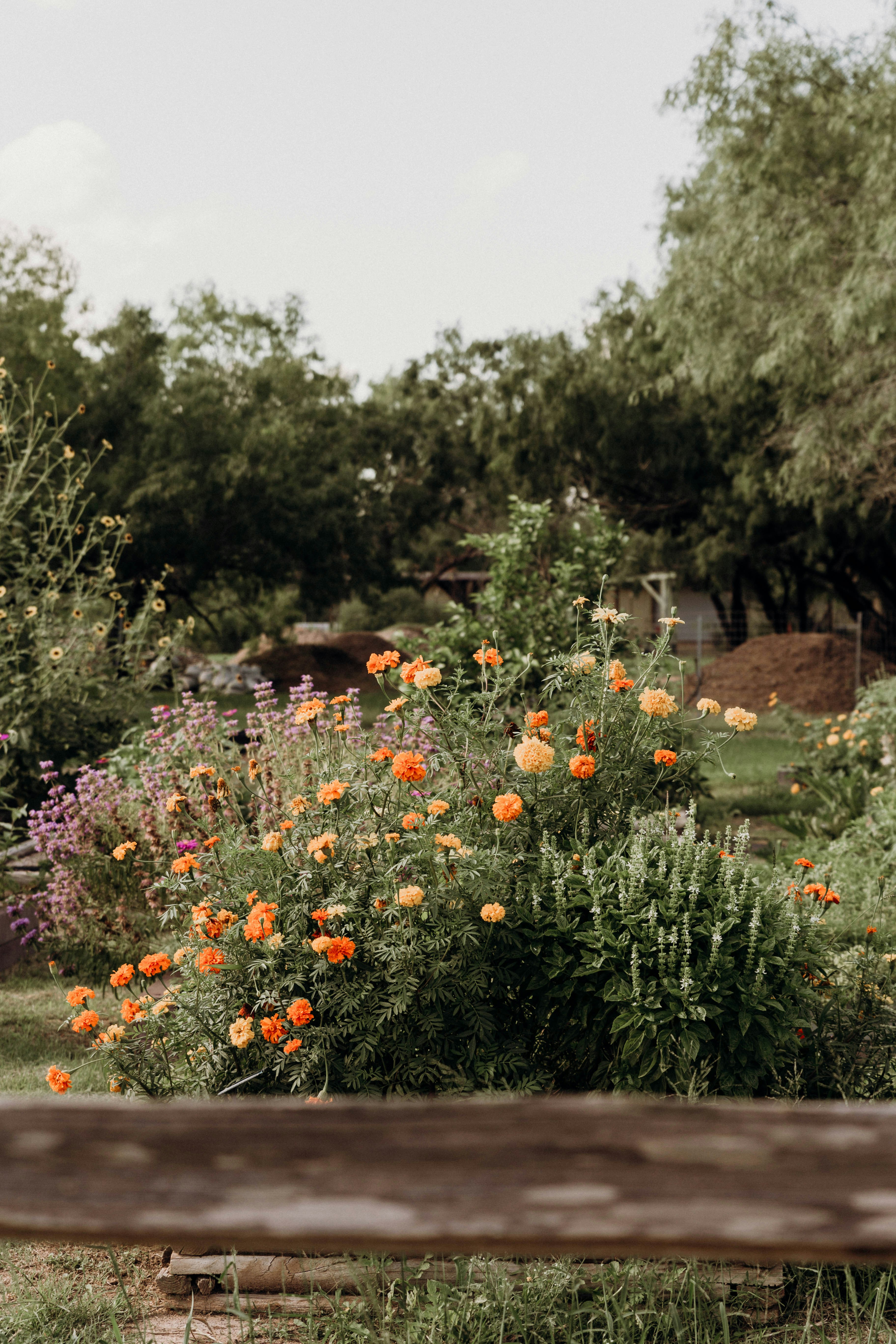 Photo by benignohoyuela