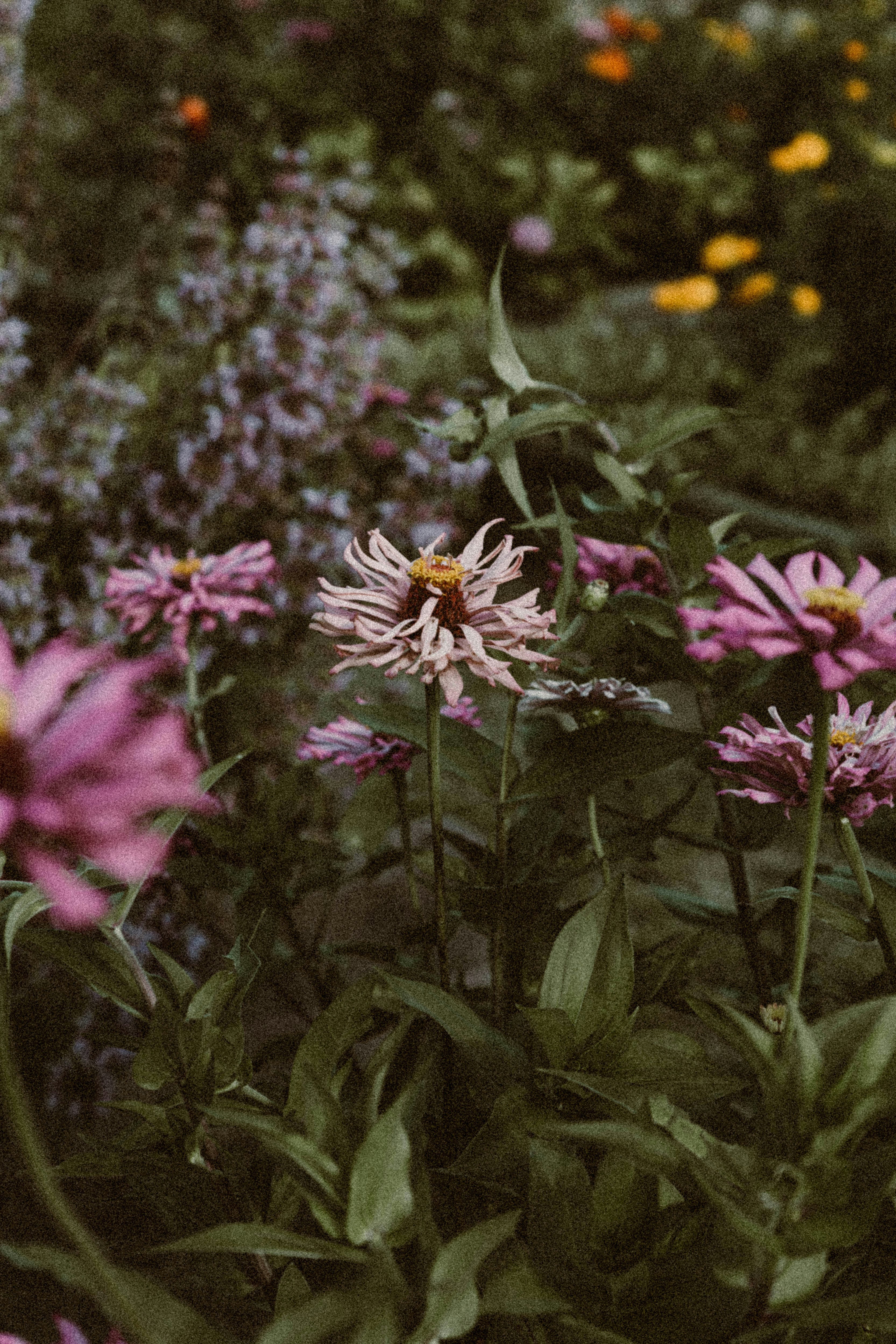 Photo by benignohoyuela