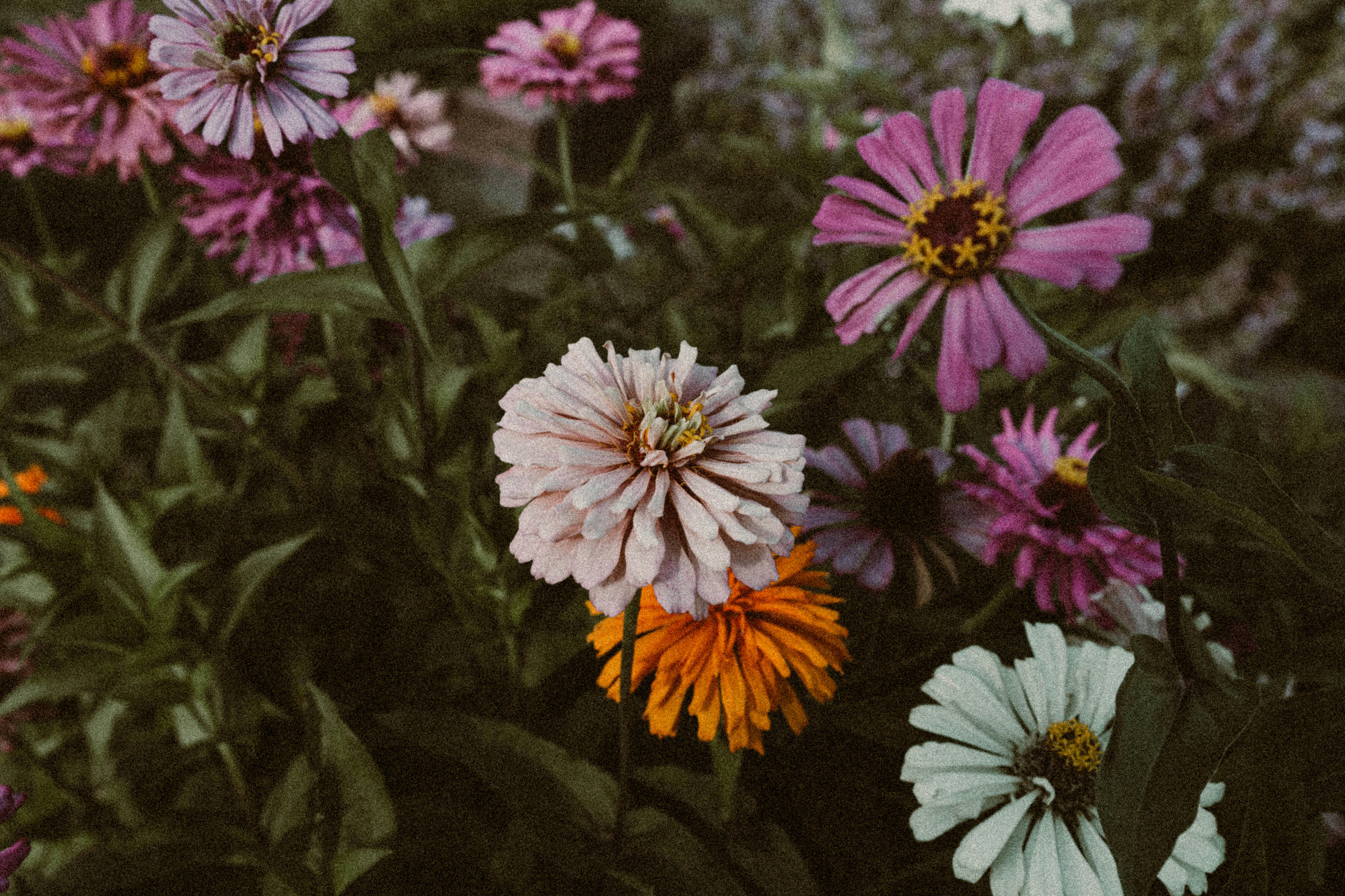 Photo by benignohoyuela