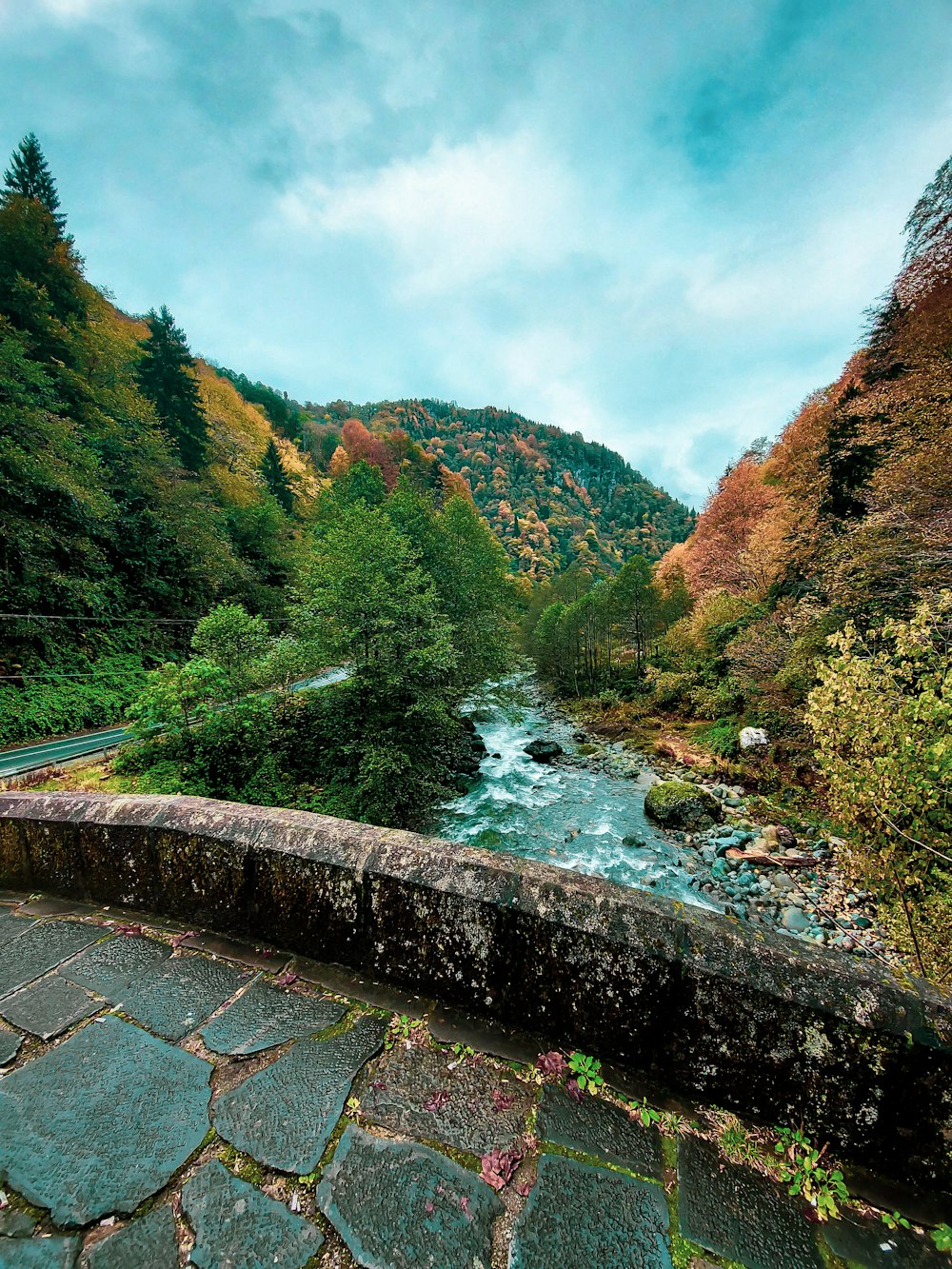 a river running through a lush green forest