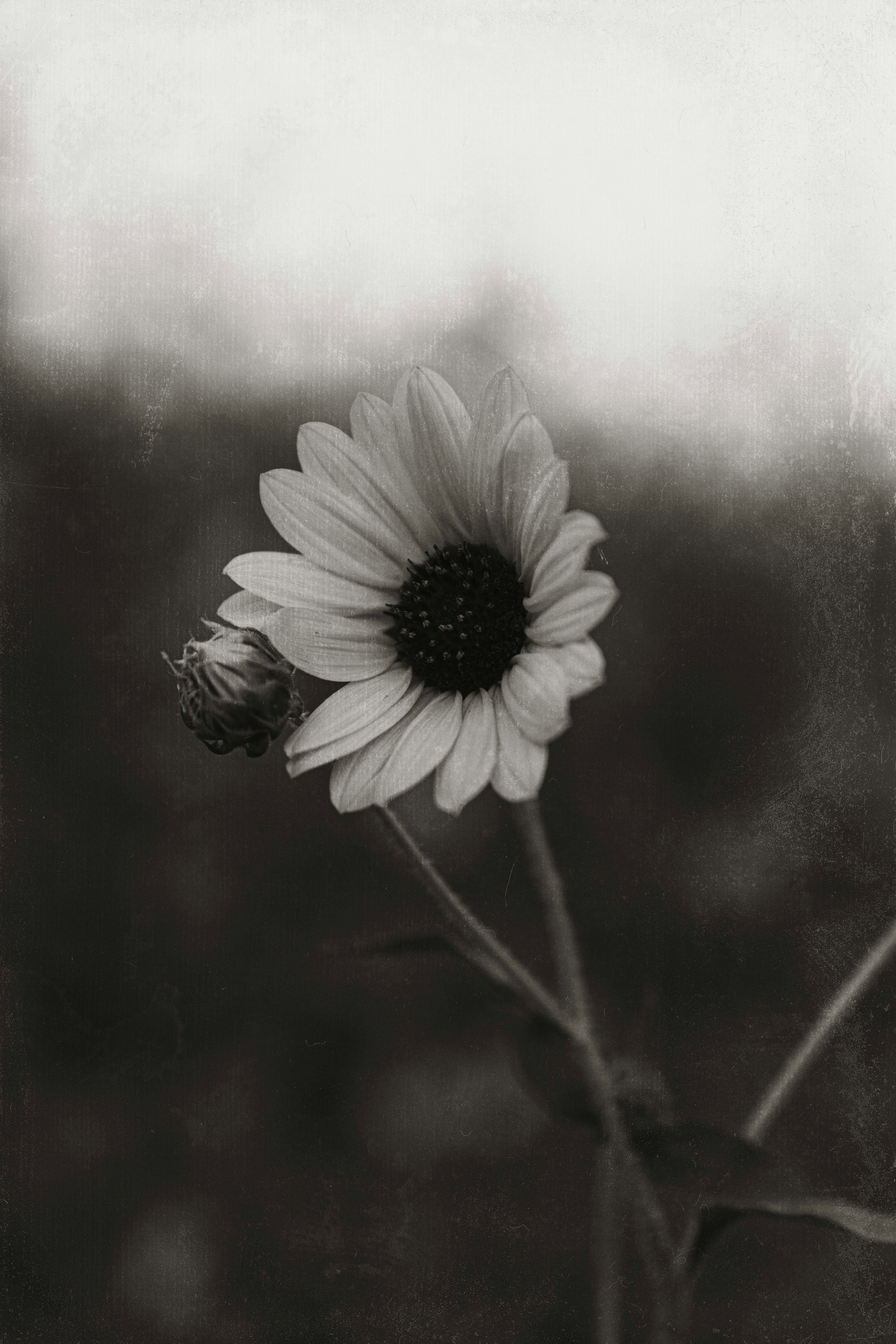 Photo by benignohoyuela