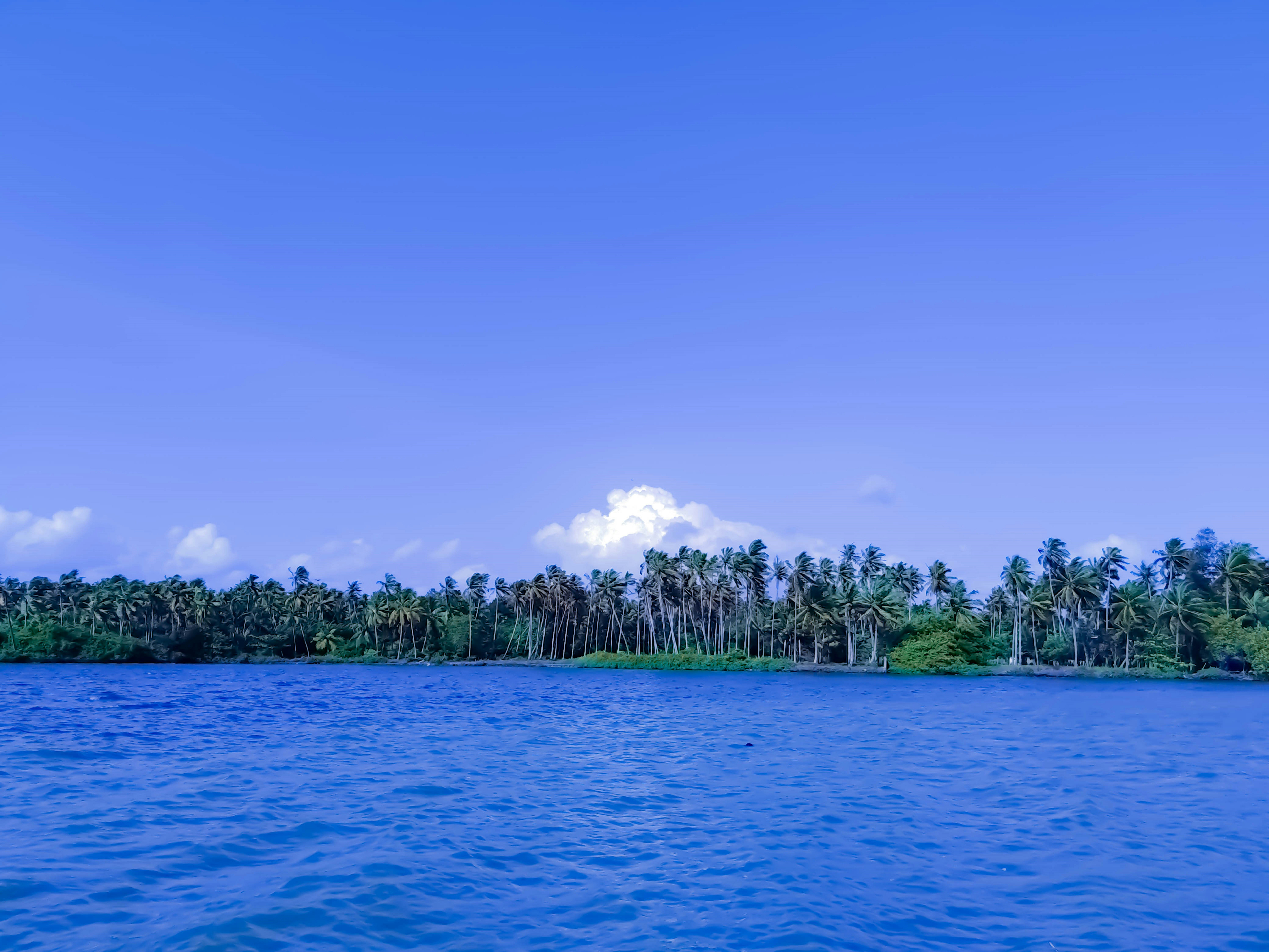 Photo by prince_jake