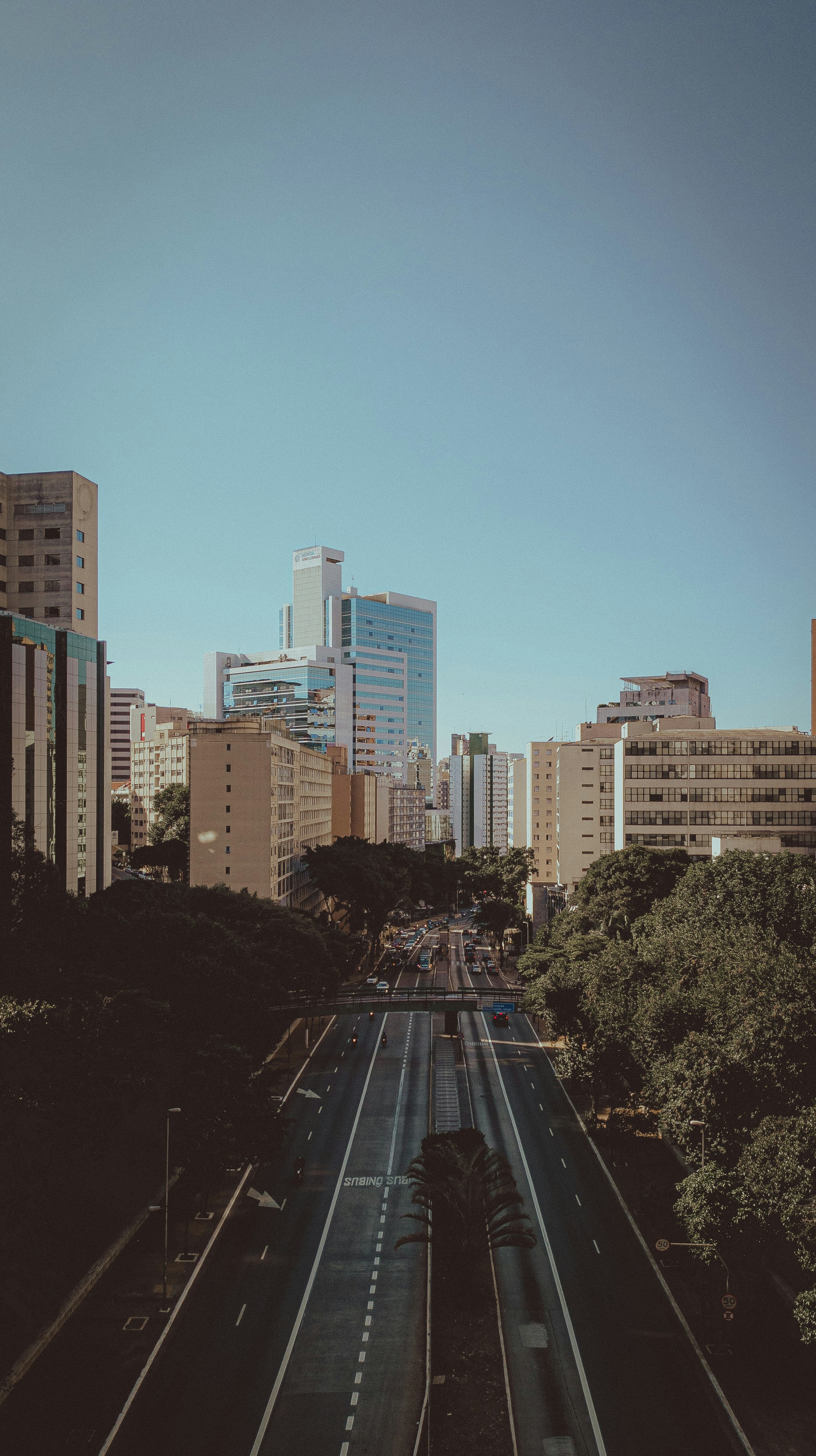 Photo by stecanella_mobileshots