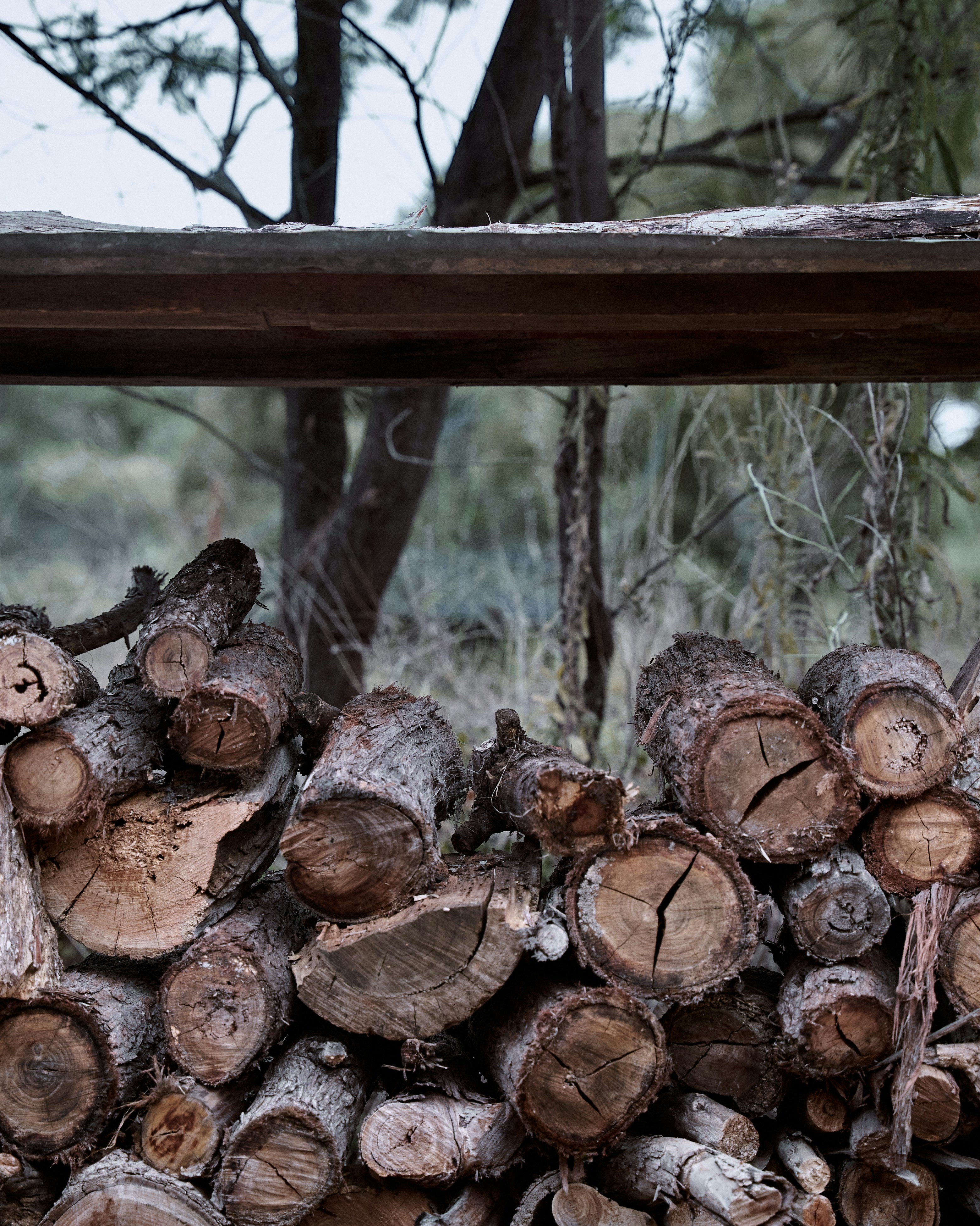 troncos de madera marrón en la cerca de madera marrón
