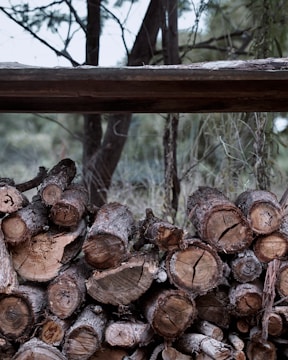 A pile of cut logs stacked neatly in an outdoor setting, surrounded by trees and branches. The logs have visible growth rings and varied coloring, ranging from deep brown to lighter tan, with rough bark still attached.