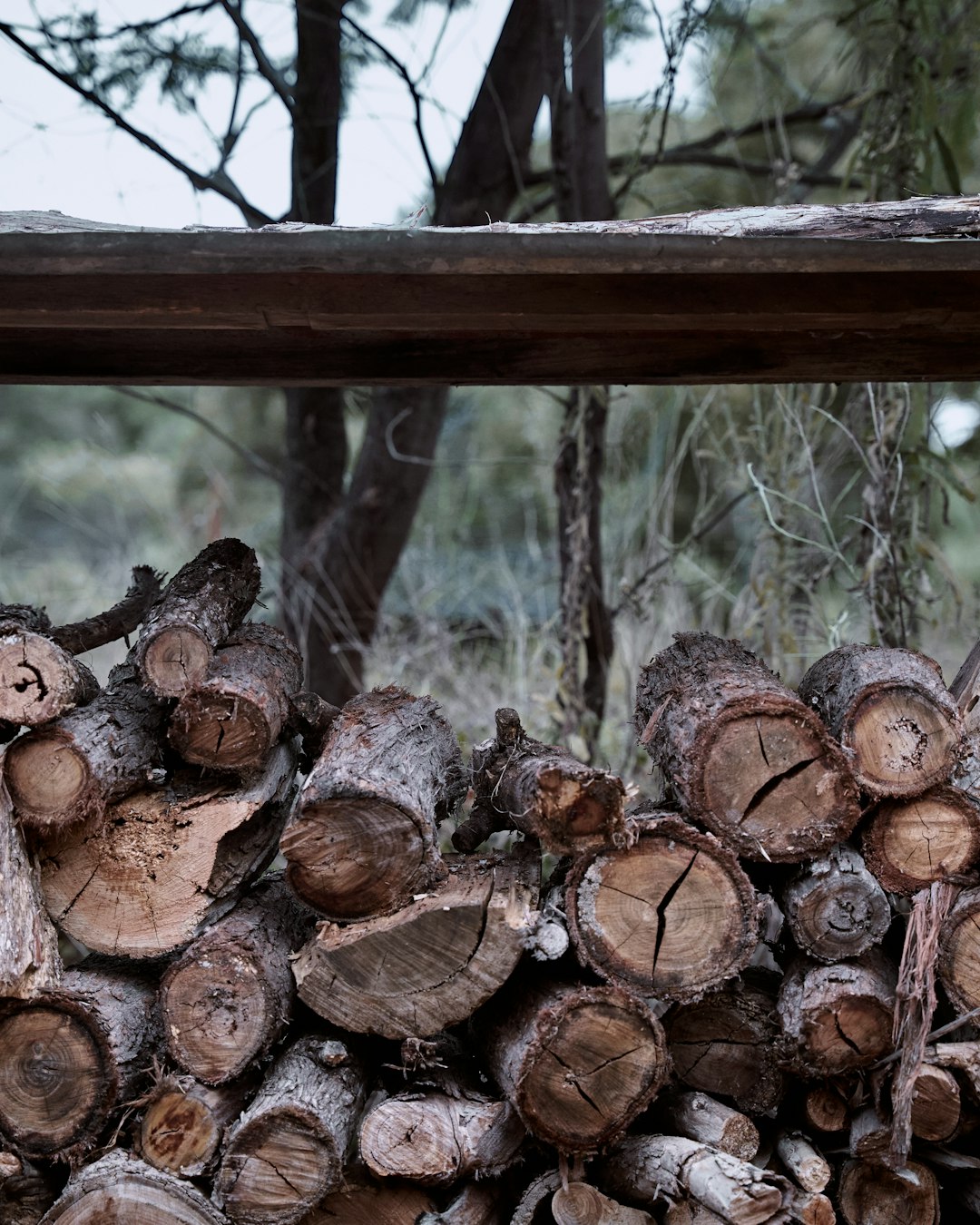 brown wood logs on brown wooden fence