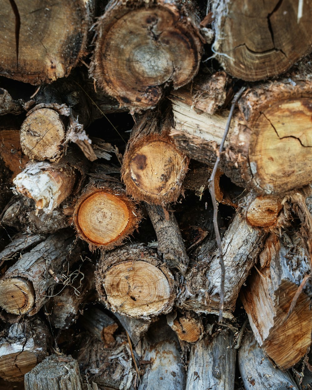 a pile of wood that has been cut down