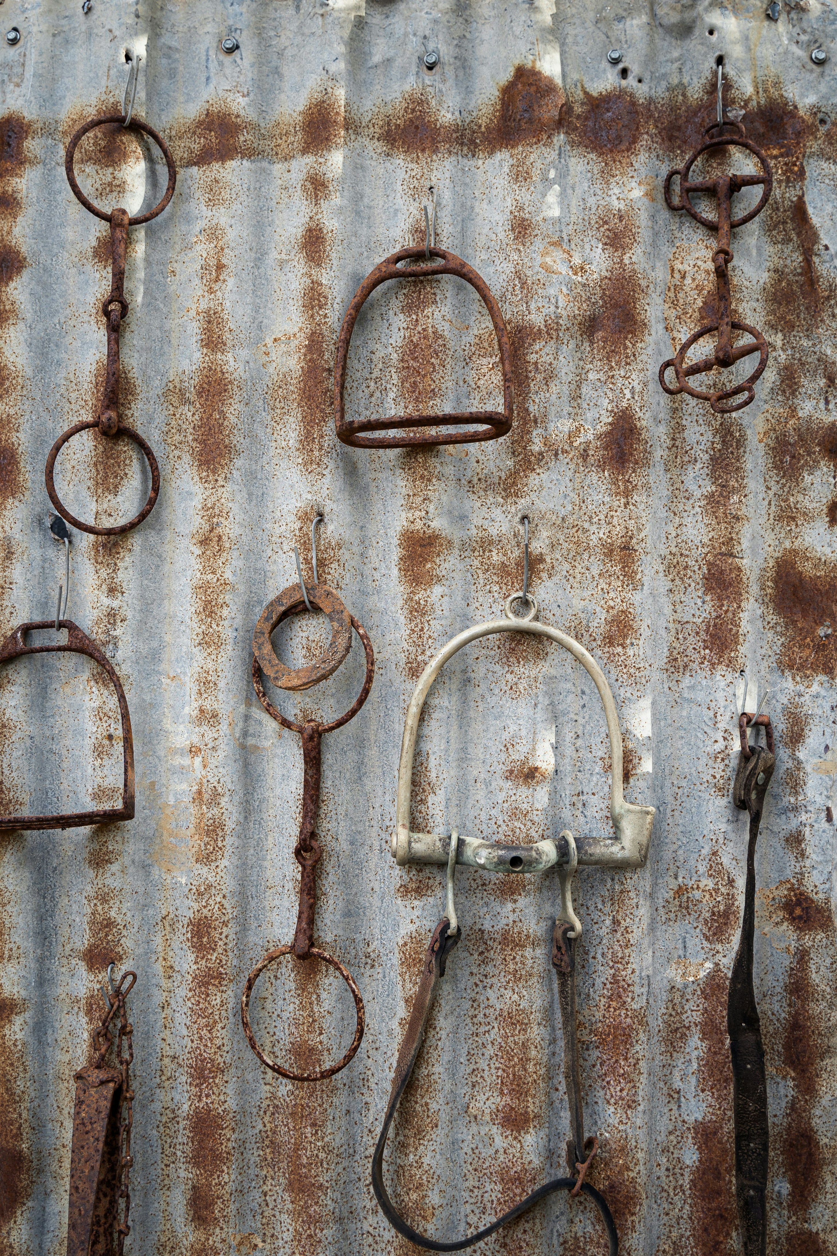 Equestrian Gear Essentials
