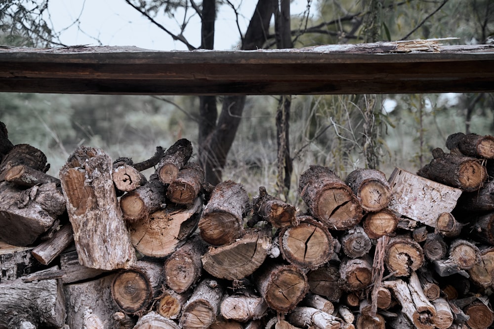 a pile of wood sitting next to a forest