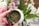 A hand holding a small container filled with a green, dried herbal mixture against a backdrop of assorted blooming flowers including pink, white, and light purple blossoms.
