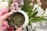 A hand holding a small container filled with a green, dried herbal mixture against a backdrop of assorted blooming flowers including pink, white, and light purple blossoms.