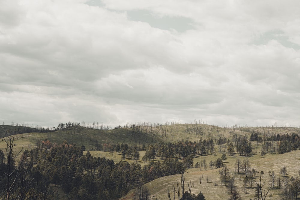 a view of a hilly area with trees in the foreground