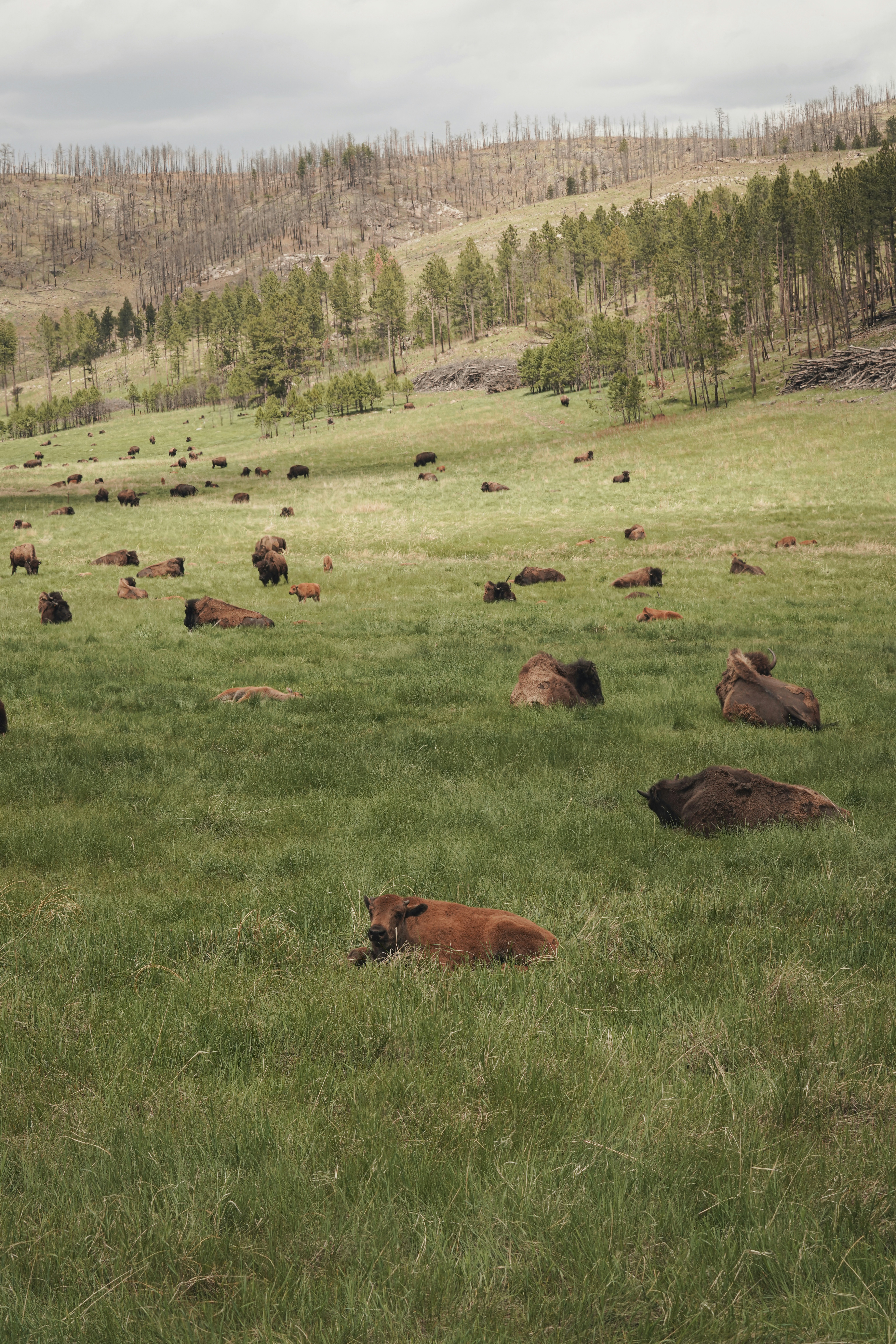 Photo by lauraintacoma