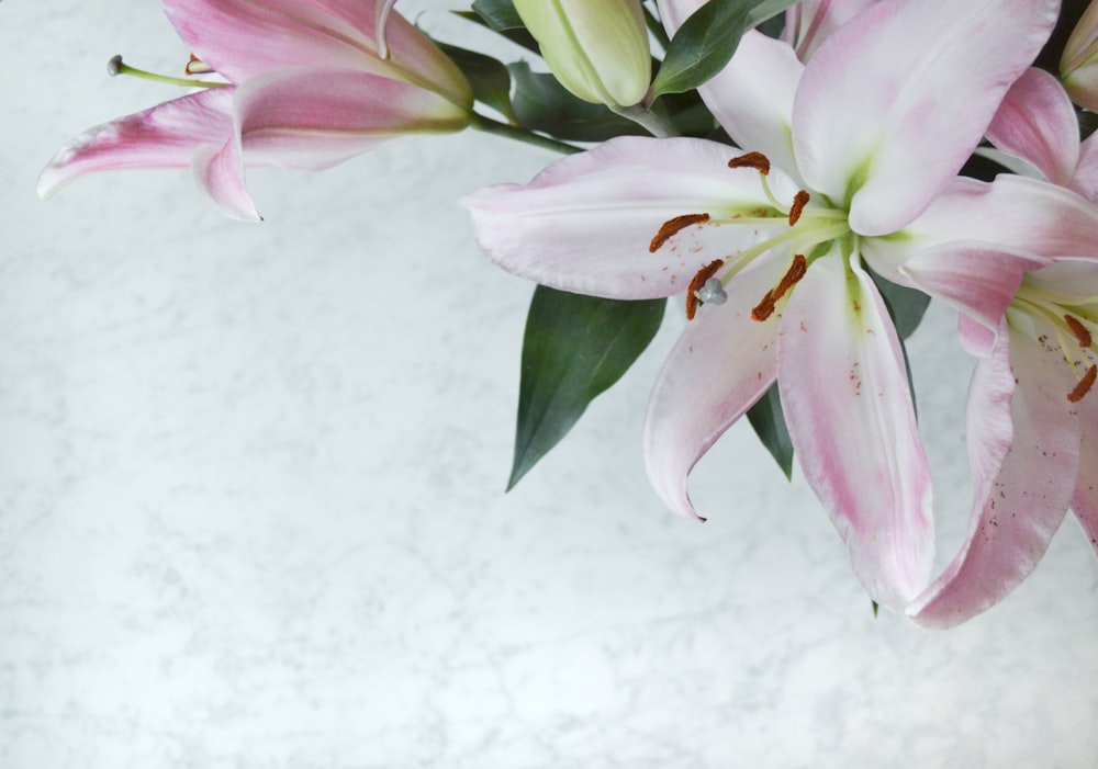 a vase filled with pink flowers on top of a table