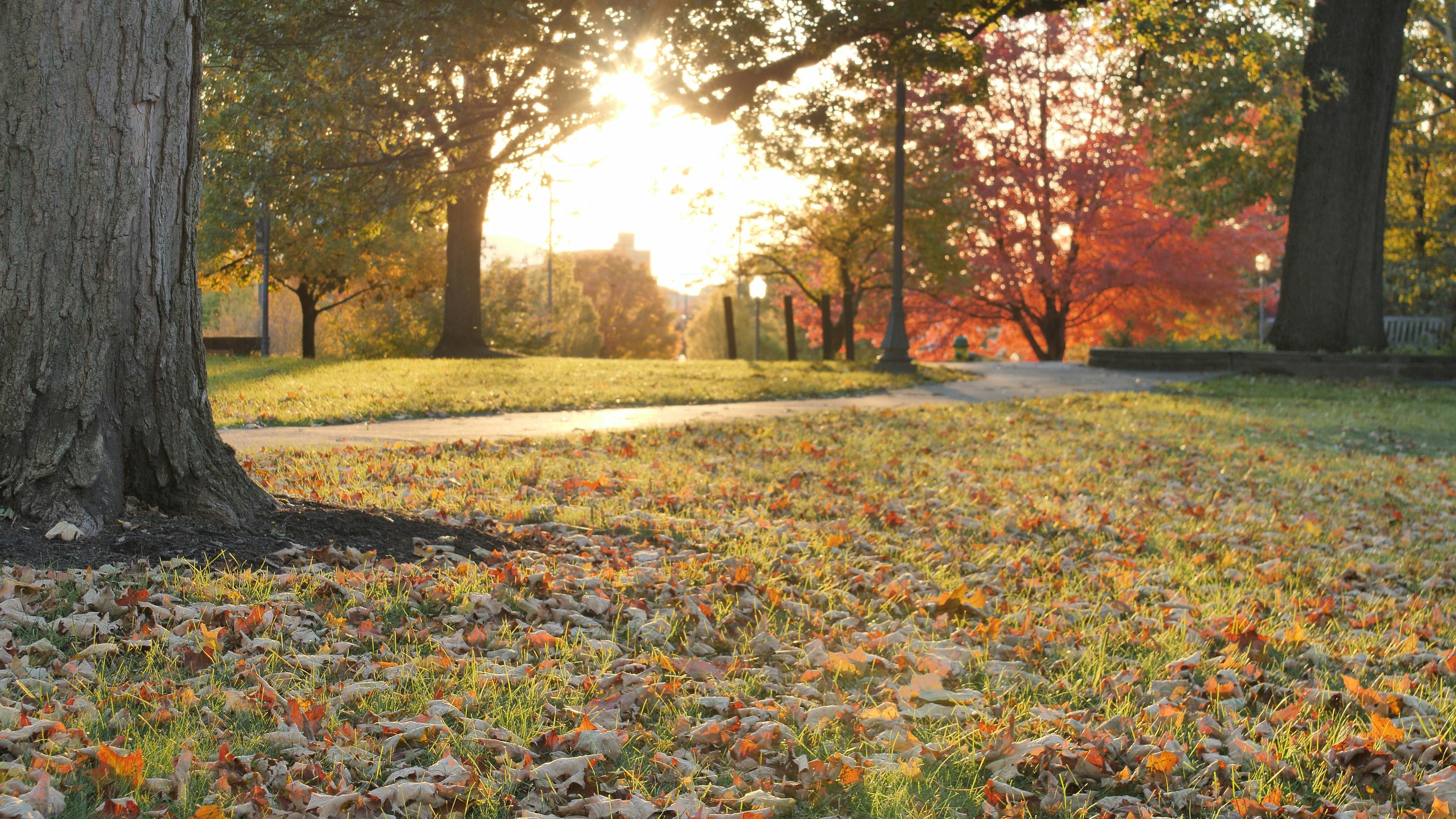 Photo by katherineconrad