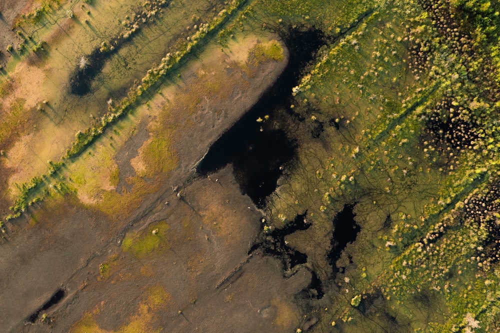 une vue aérienne d’une zone herbeuse avec des arbres