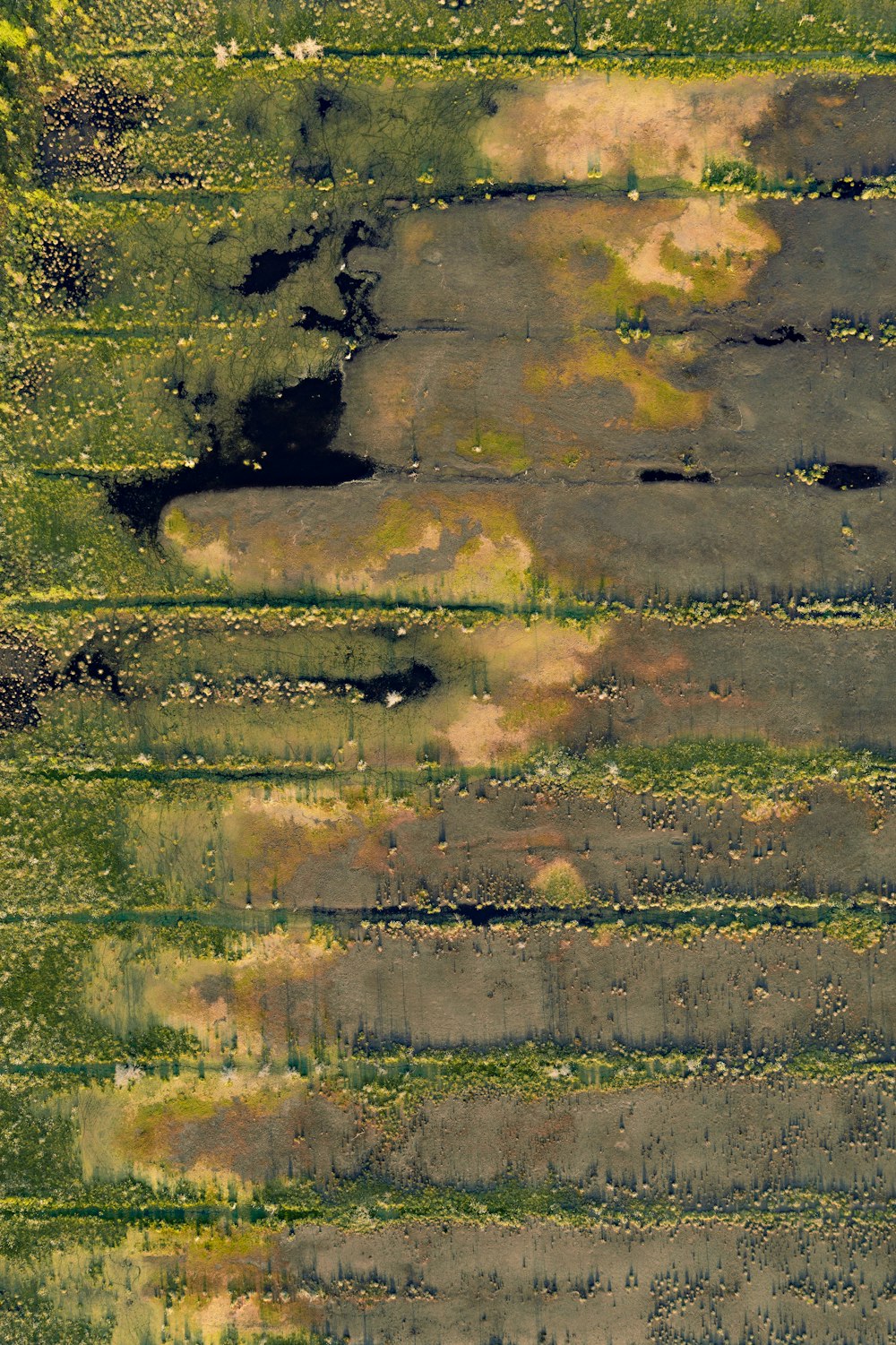 an aerial view of a green field with trees