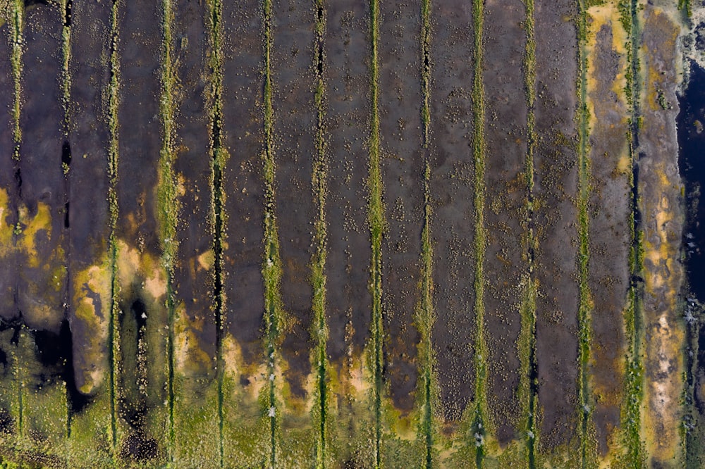 an aerial view of a field with trees