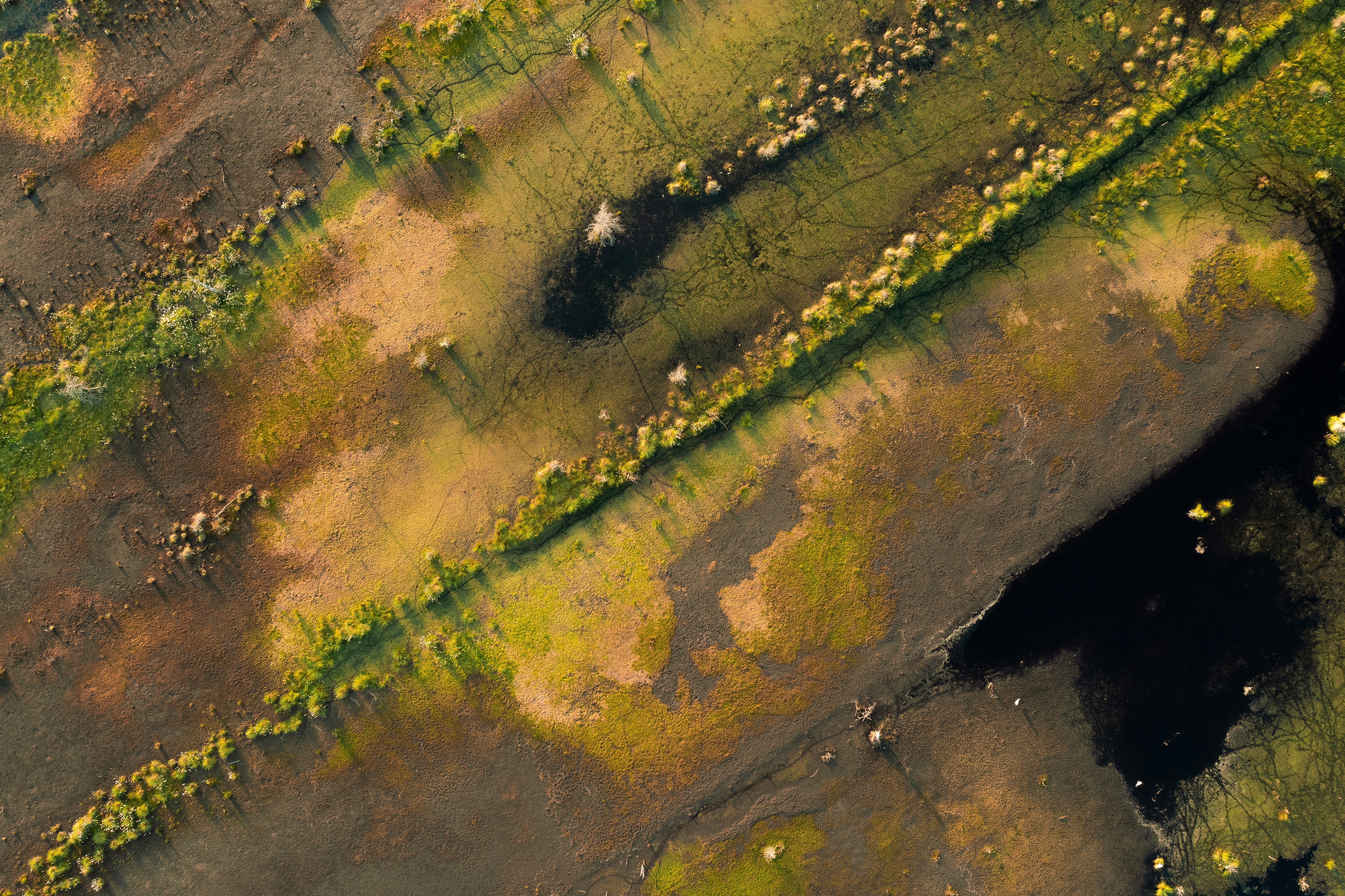 aerial view of green grass field, Patterns of the Viru Bog in the Lahemaa Nature Reserve in Estonia at sunset