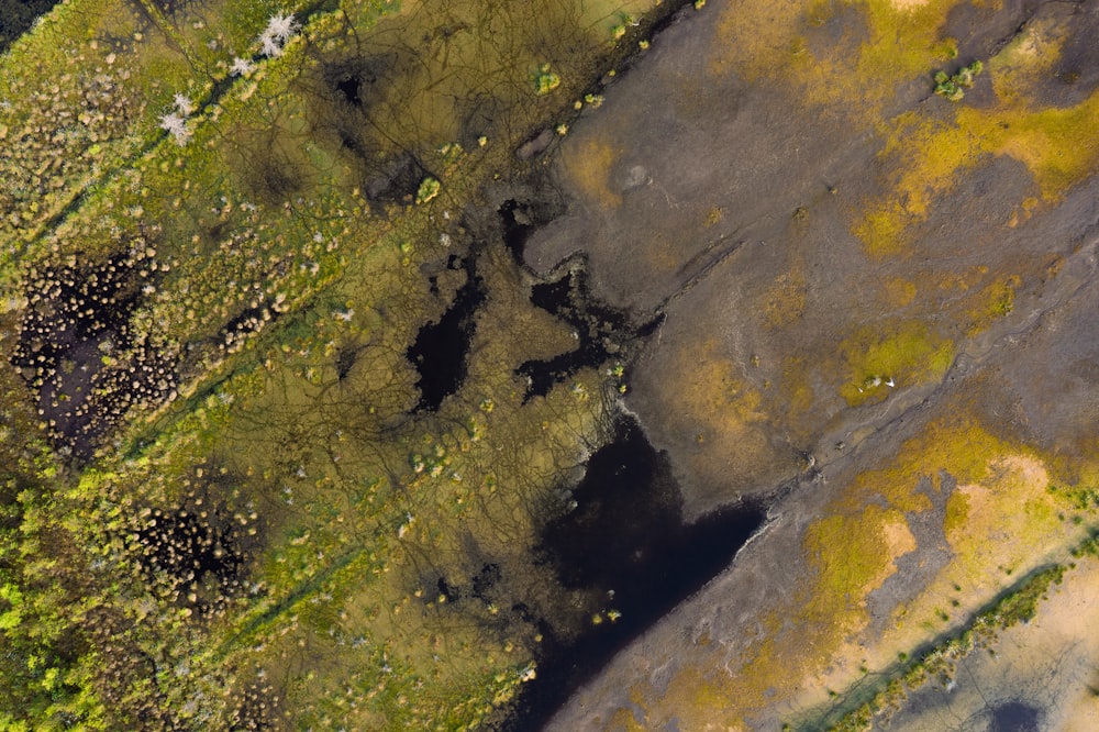 an aerial view of a grassy area with trees