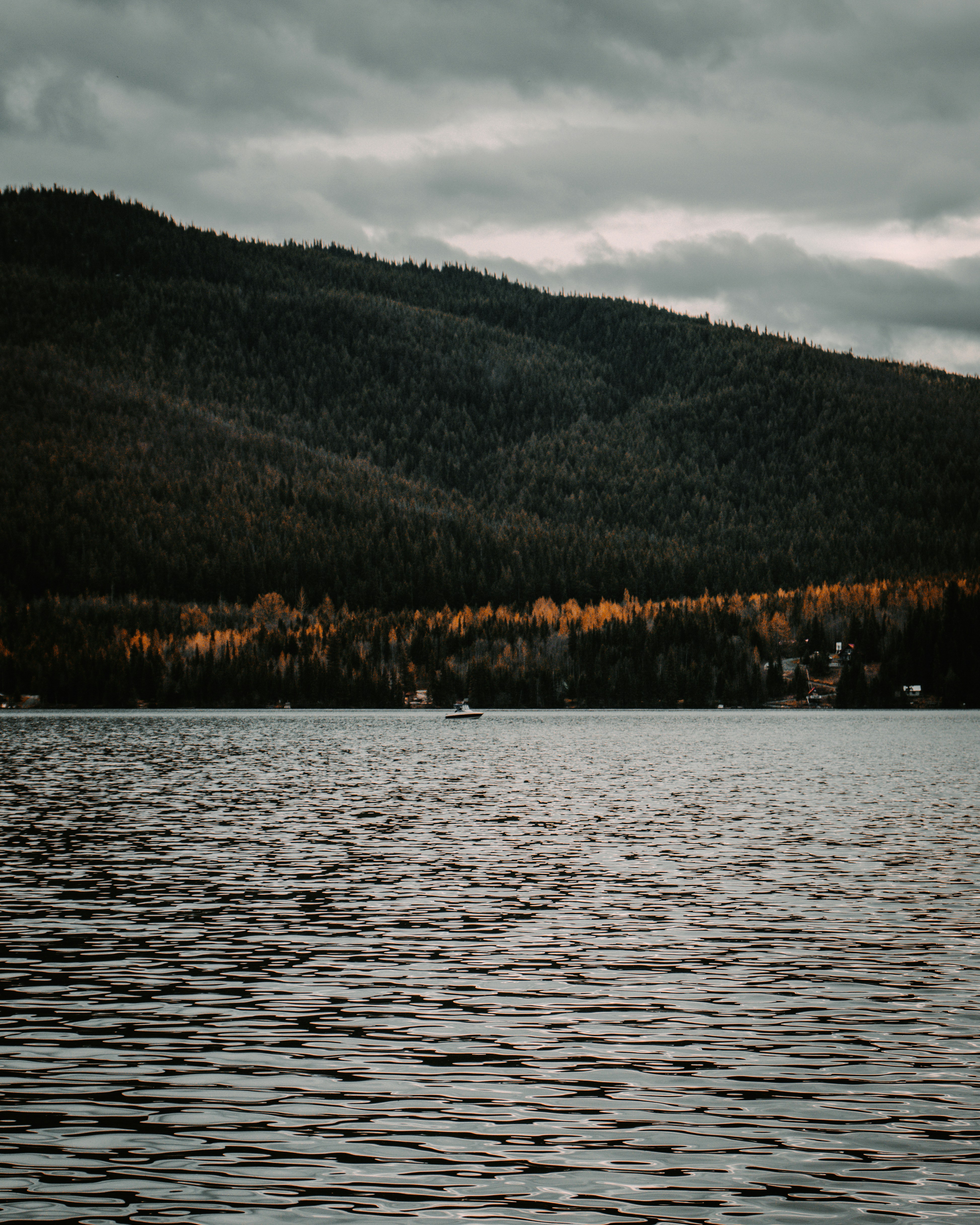 Photo by harsh_singh_c