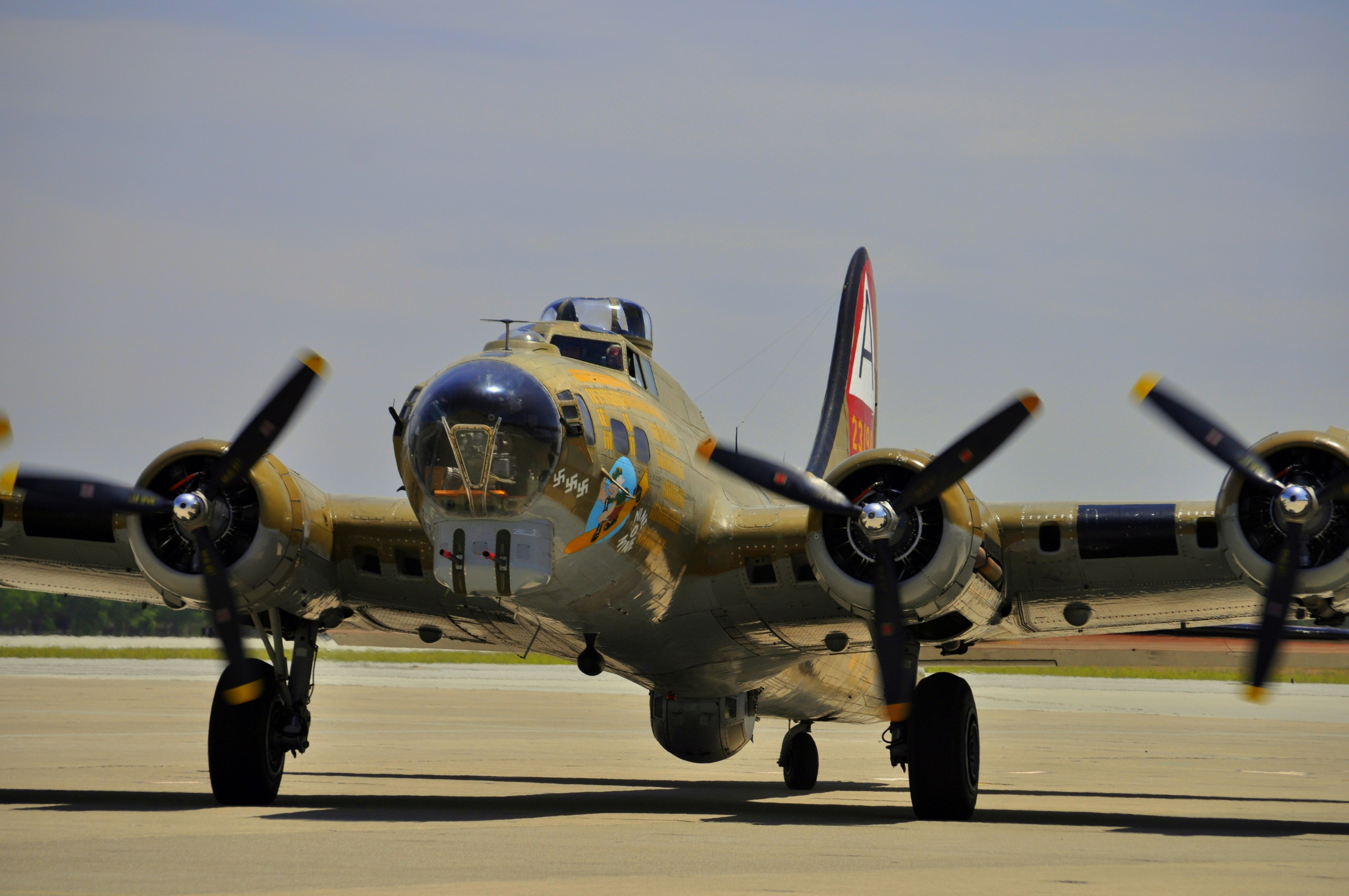 a propeller plane sitting on top of an airport runway, The Boeing B-17 Flying Fortress is a four-engined heavy bomber developed in the 1930s for the United States Army Air Corps. As of October 2019, nine aircraft remain airworthy, though none of them were ever flown in combat.B-17s feature in the 2014 graphic novel mini-series Castles in the Sky, published by Avatar, written by Garth Ennis and illustrated by Matt Martin & Keith Burns. The story features a gunner named Leonard Wetmore who is one of the crew of the B-17 