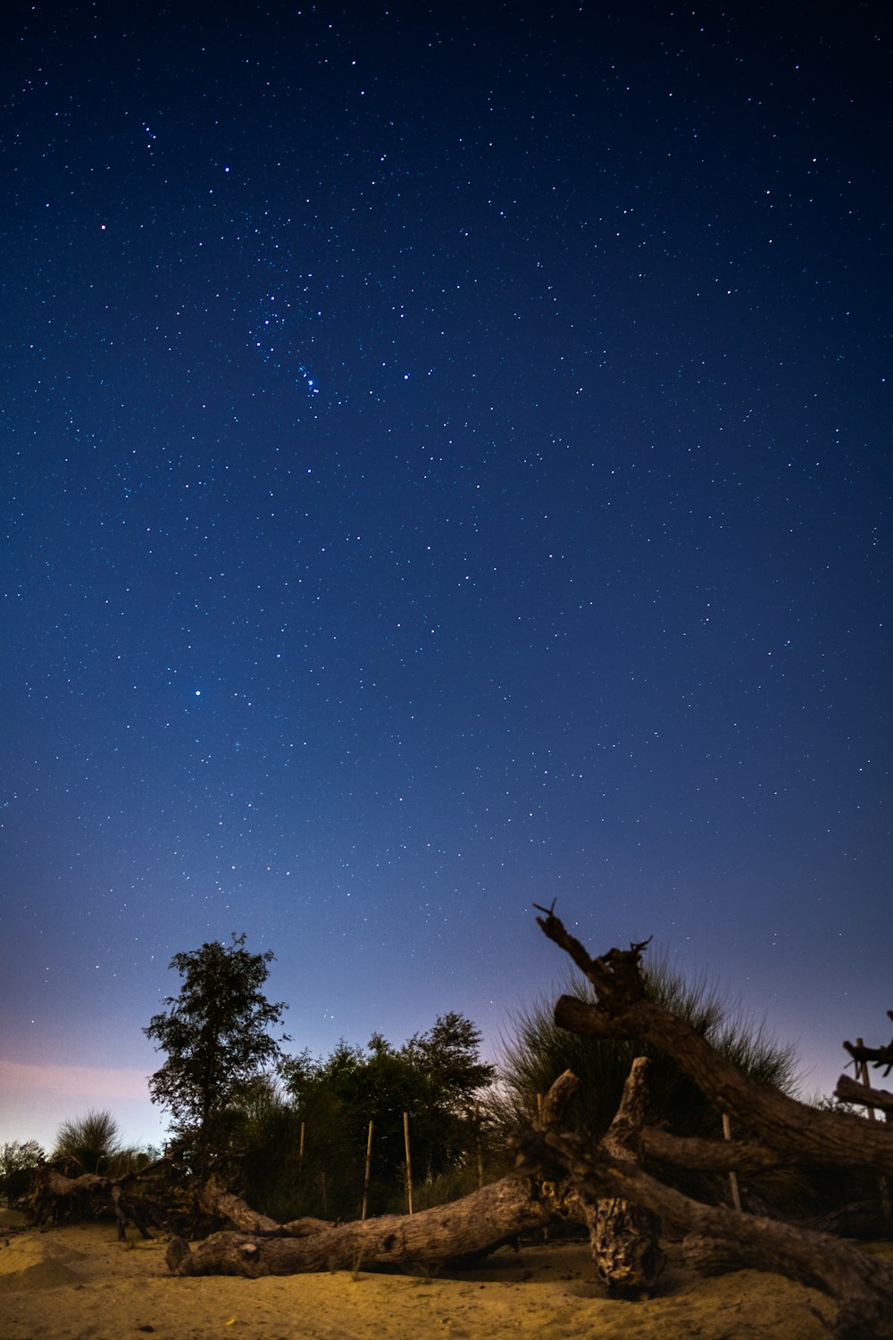 the night sky is full of stars above a tree stump