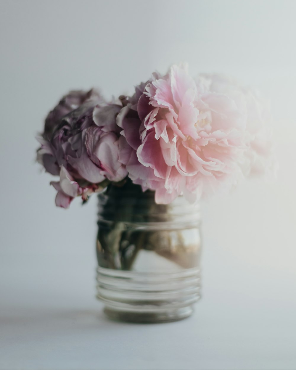 pink flower in clear glass jar