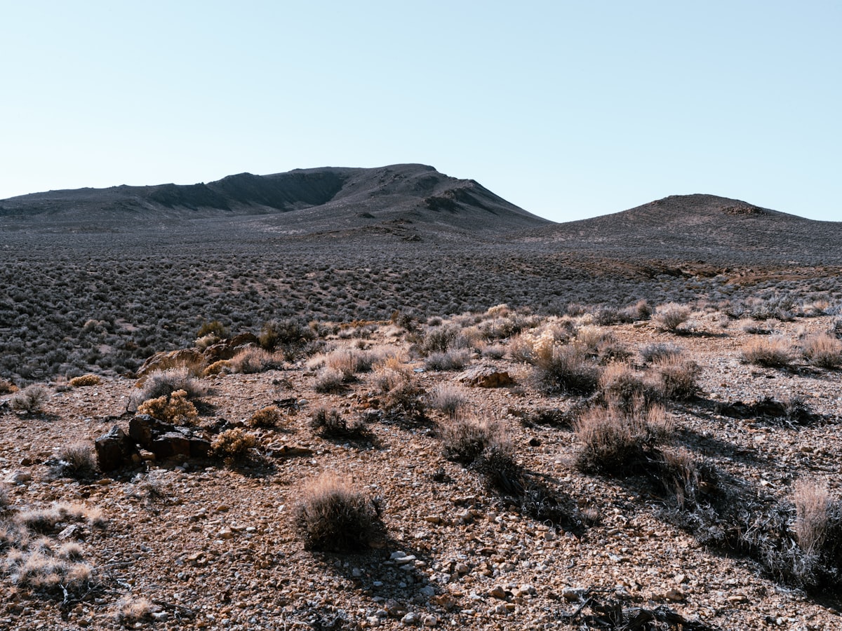 Desertification is slowly progressing in most parts of the world