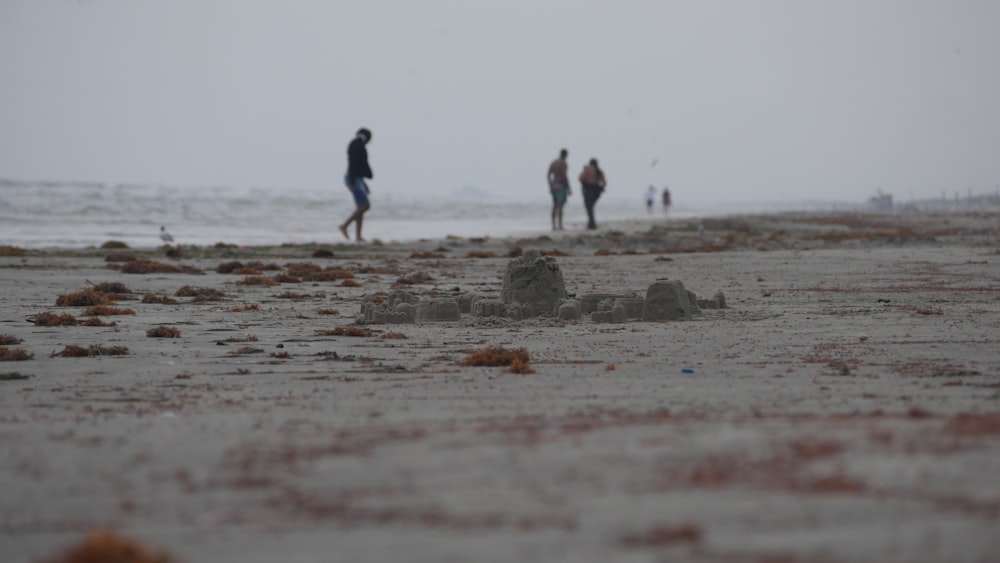 a group of people walking along a sandy beach