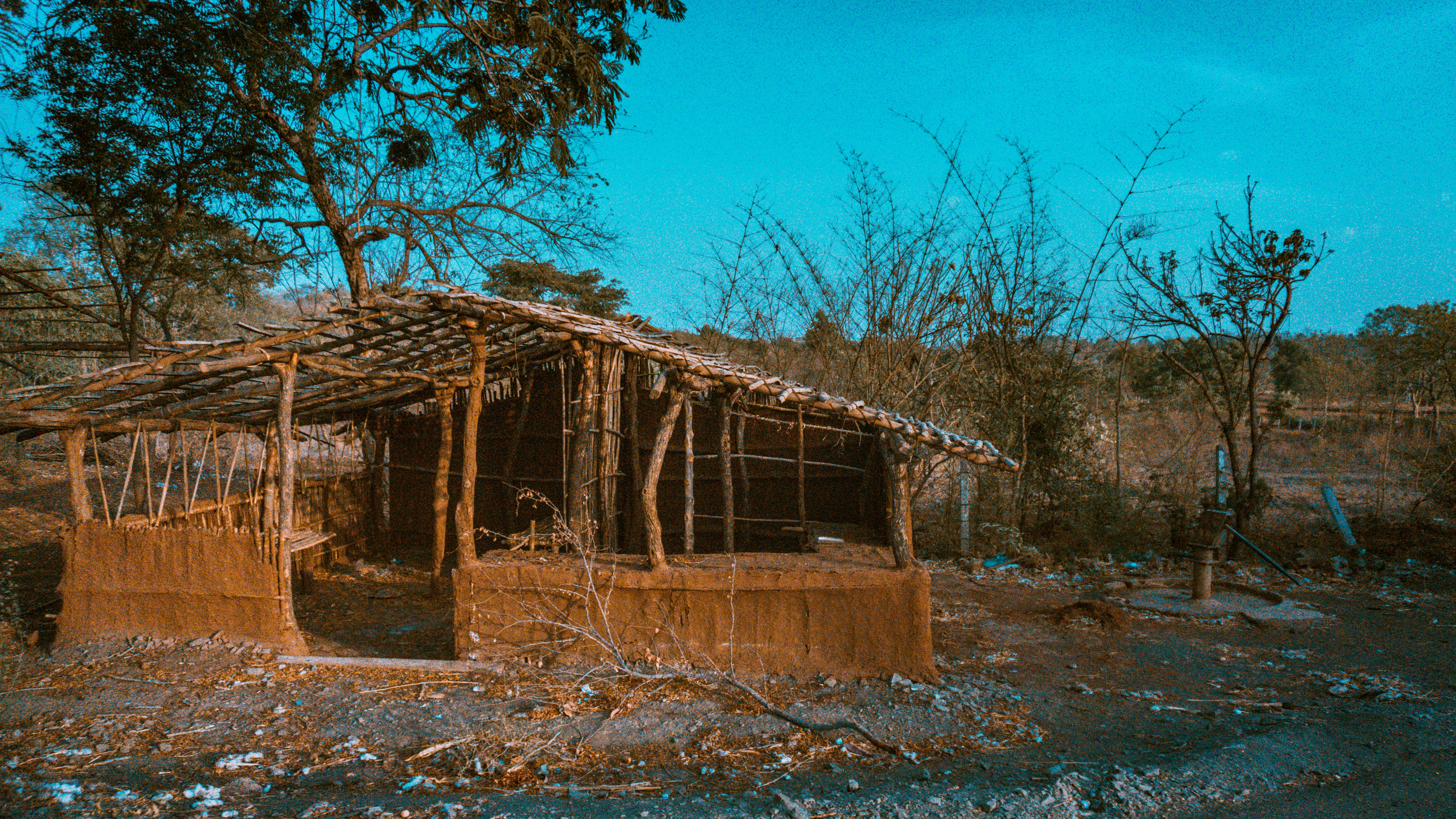 Photo by theamritdev