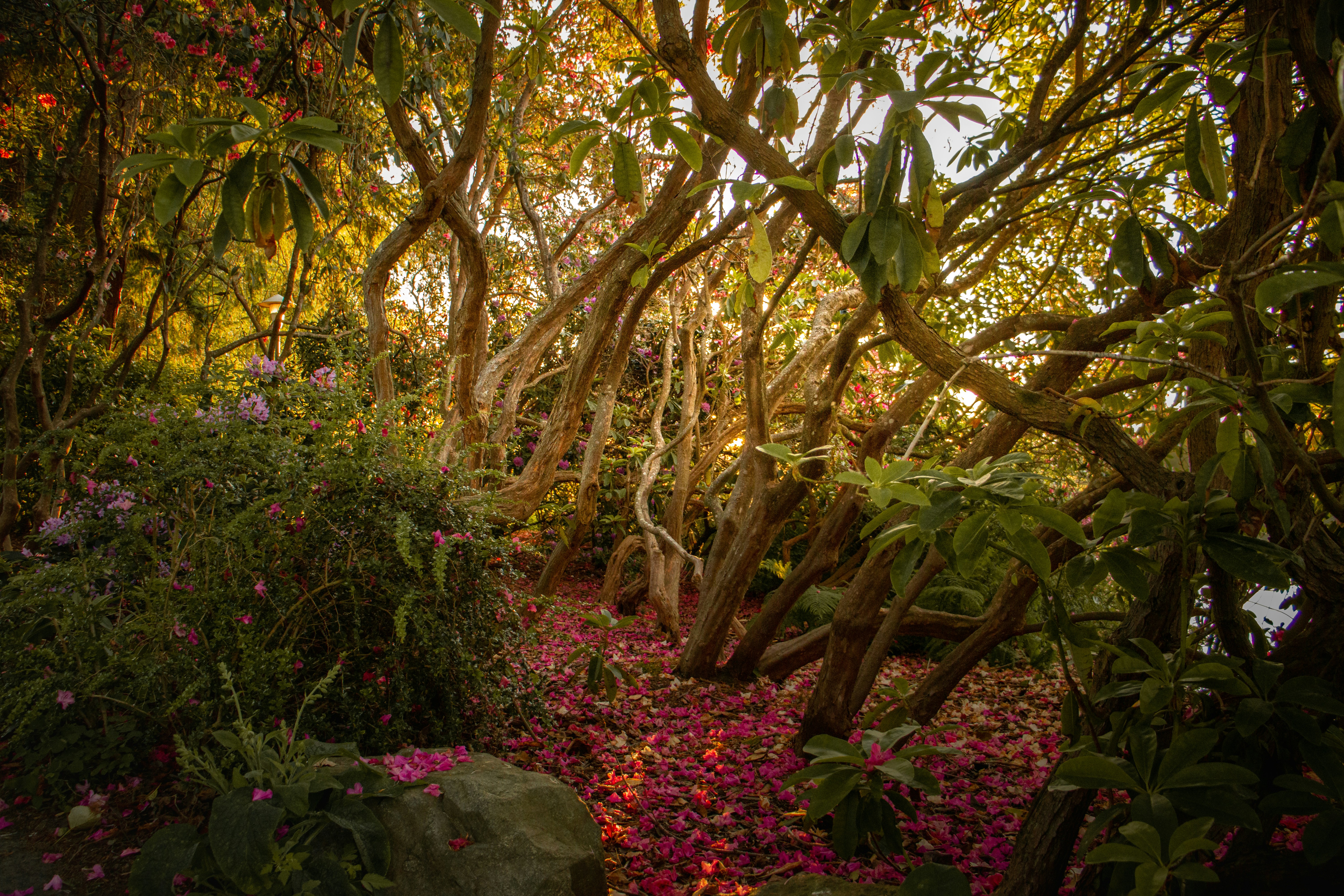 Photo by sonya_romanovska