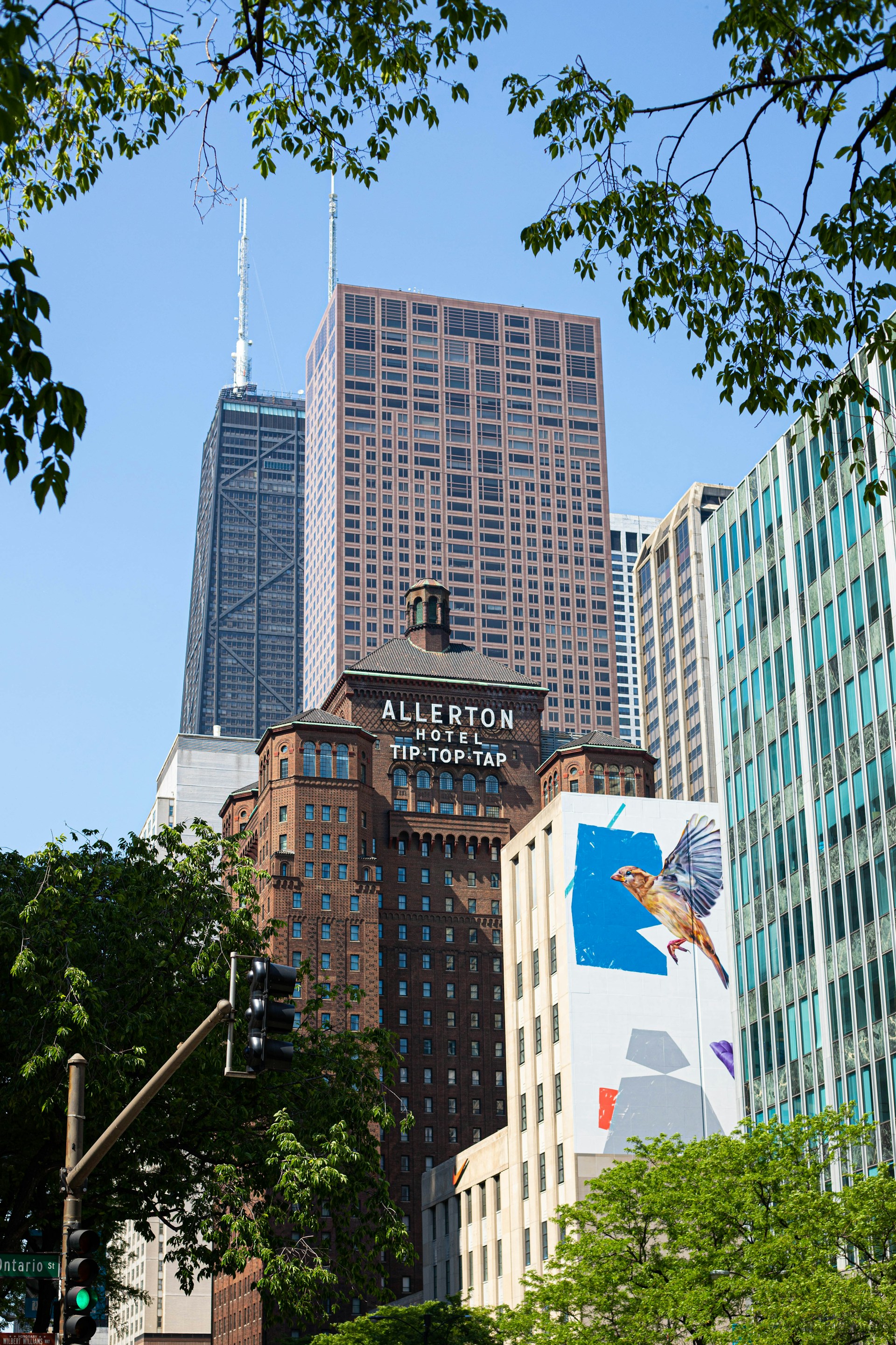 a city with tall buildings and trees in the foreground
