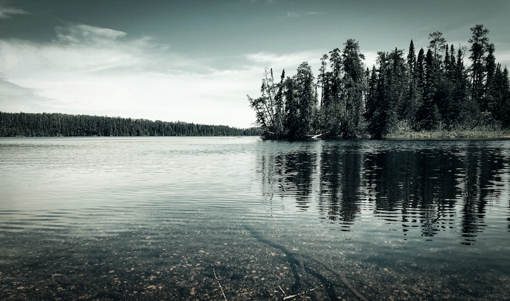 a large body of water surrounded by trees