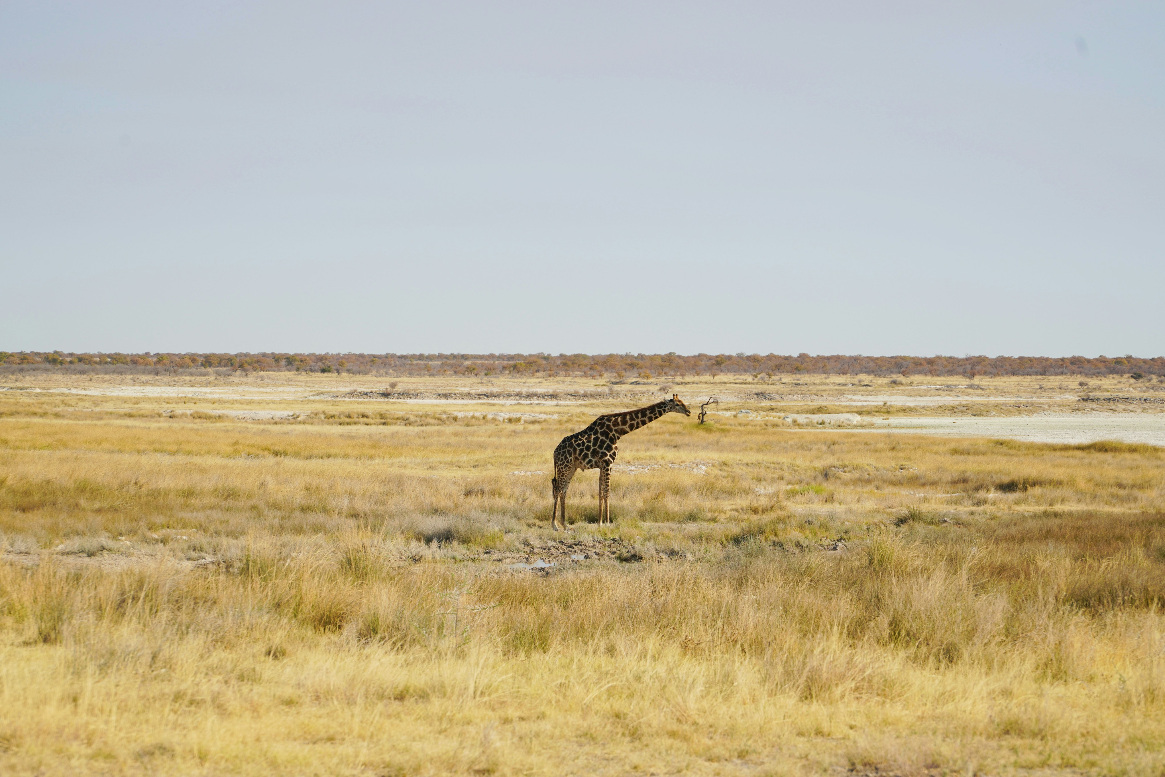 Photo by datingjungle