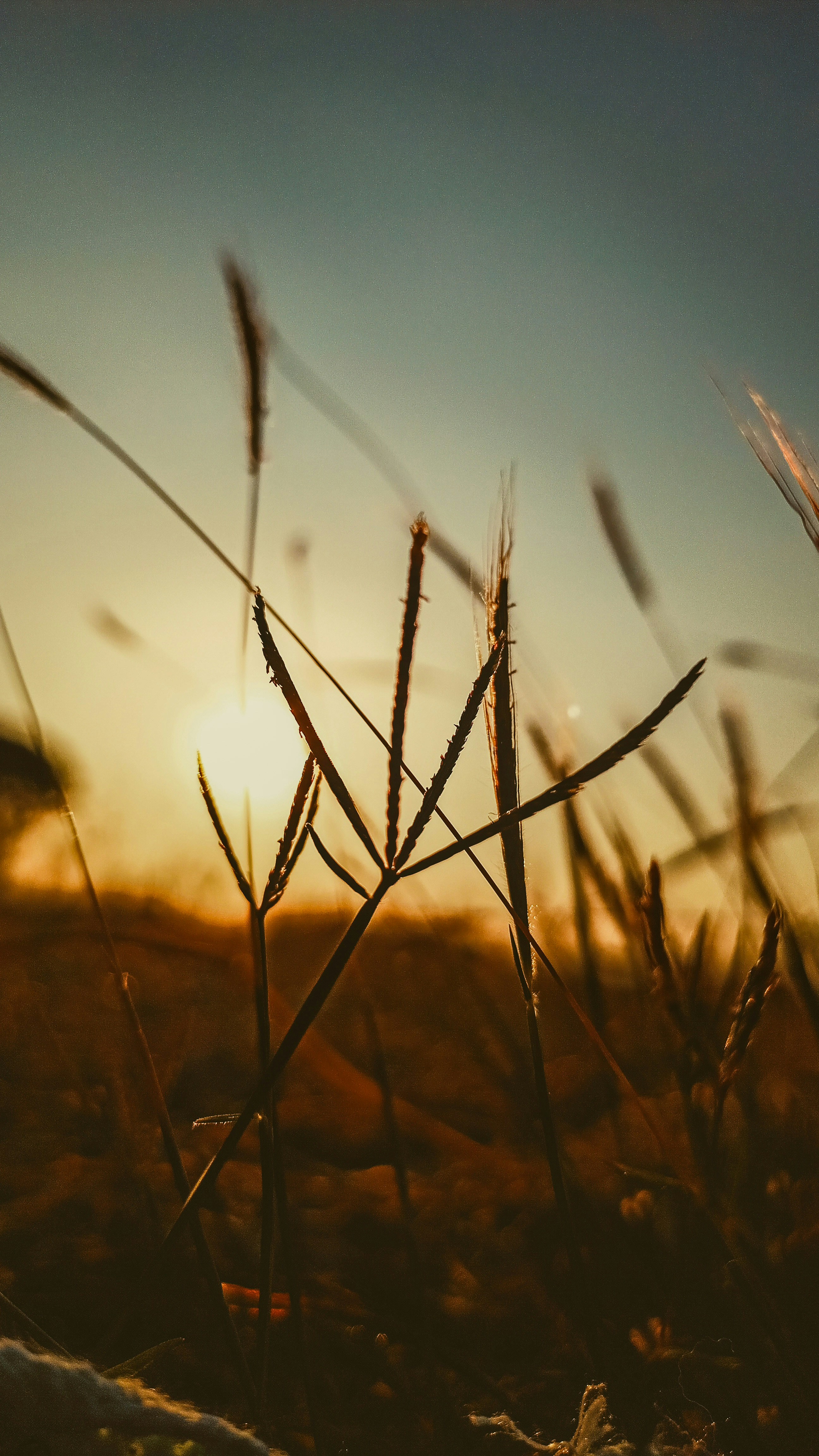 Photo by double_k_in_me