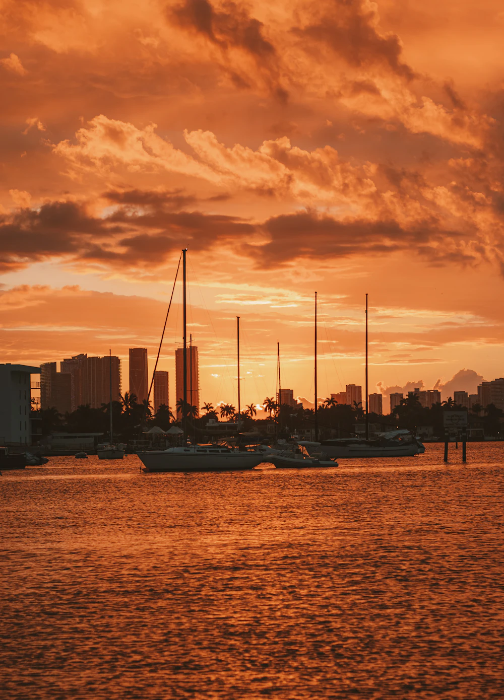 Boats moored on the water in Miami