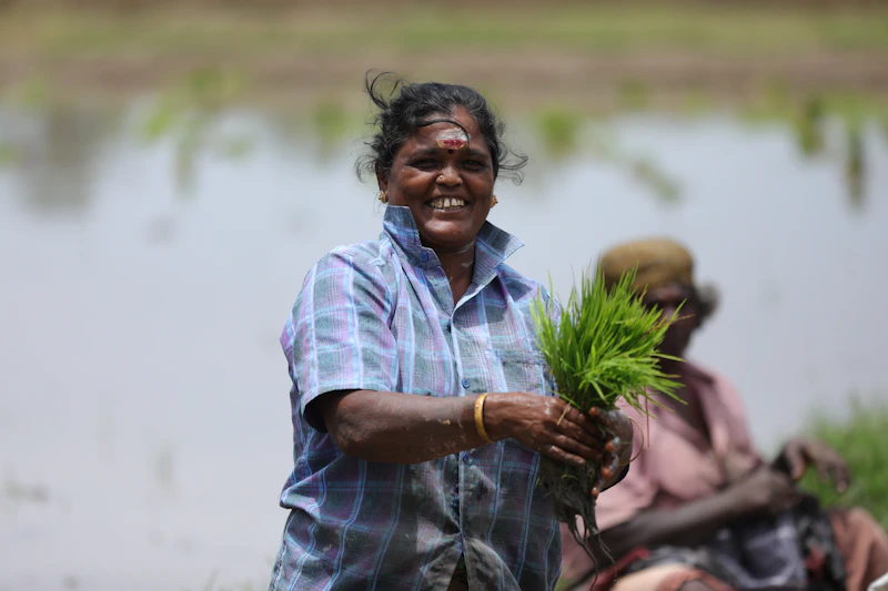 Sugar Boy in blue and white plaid shirt with plant