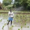 woman in white shirt and blue denim shorts holding white plastic bucket on water