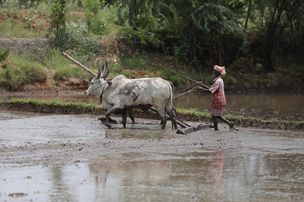 girl in red jacket standing beside cow on water during daytime