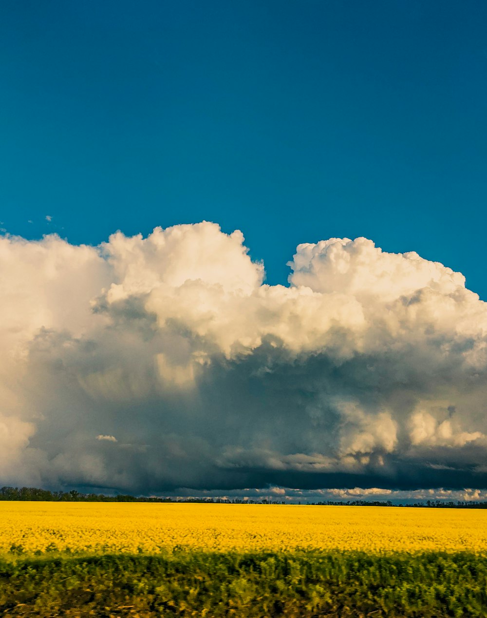 white clouds and blue sky during daytime