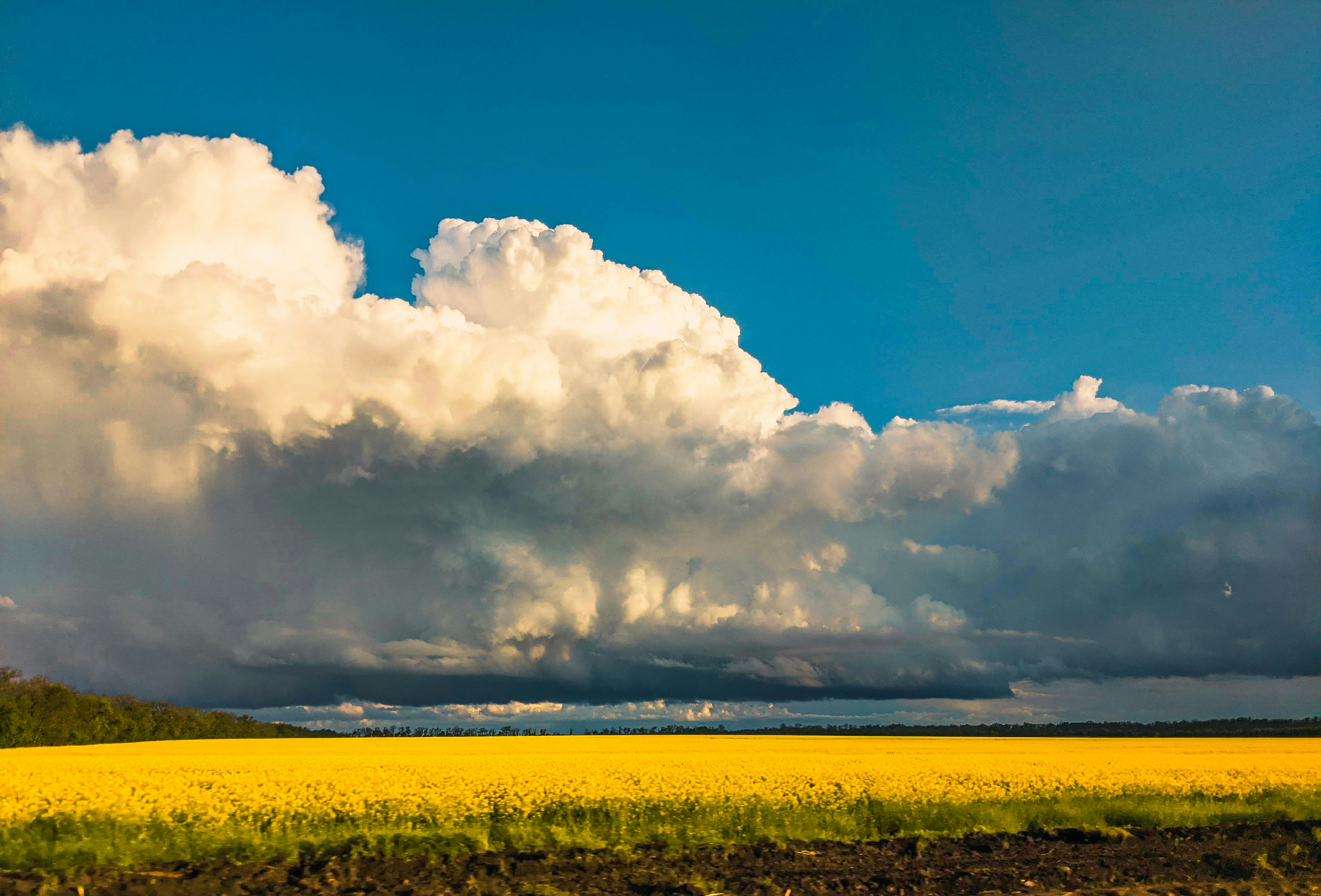 Photo by animgraphlab