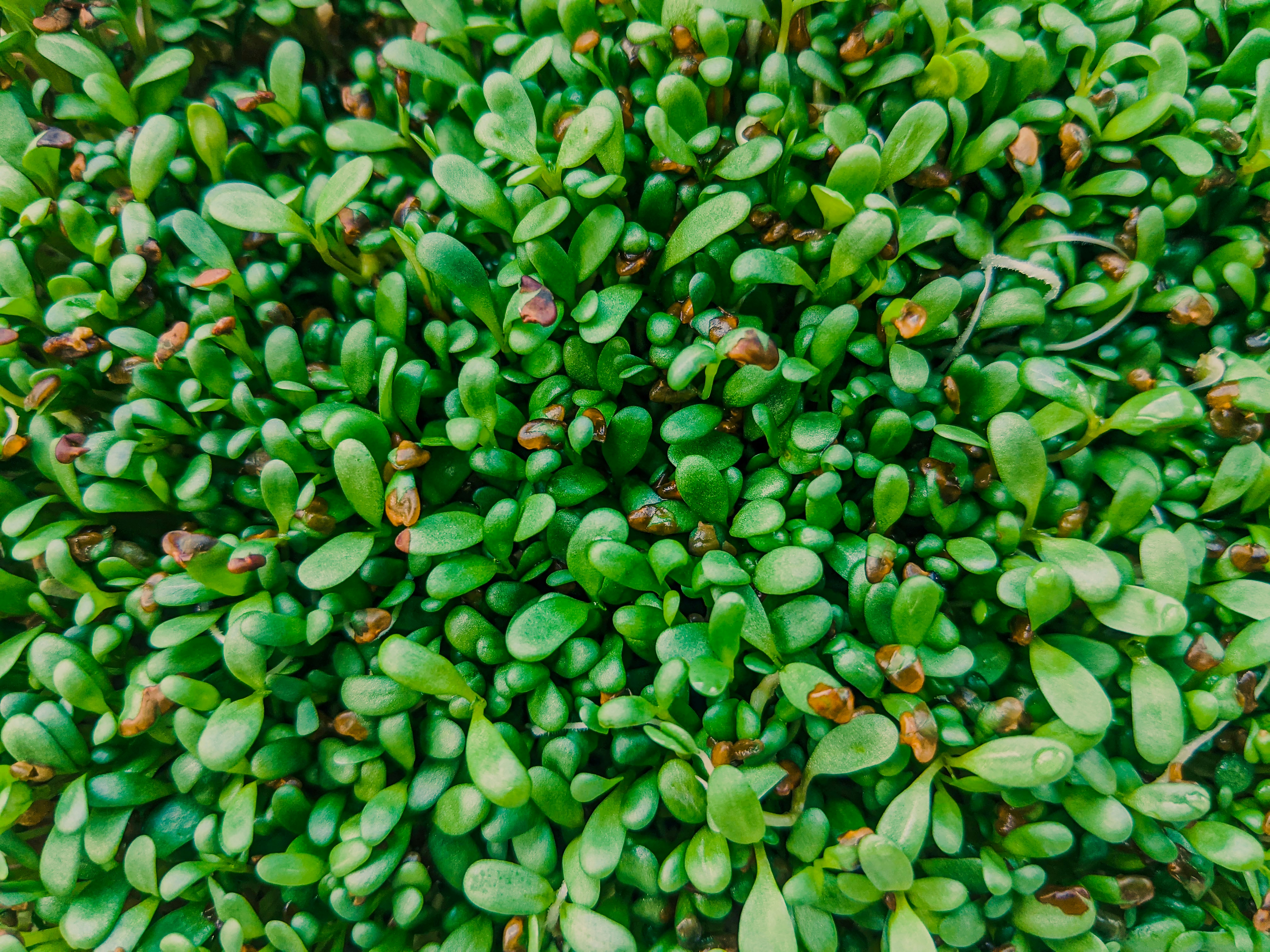 Photo by animgraphlab