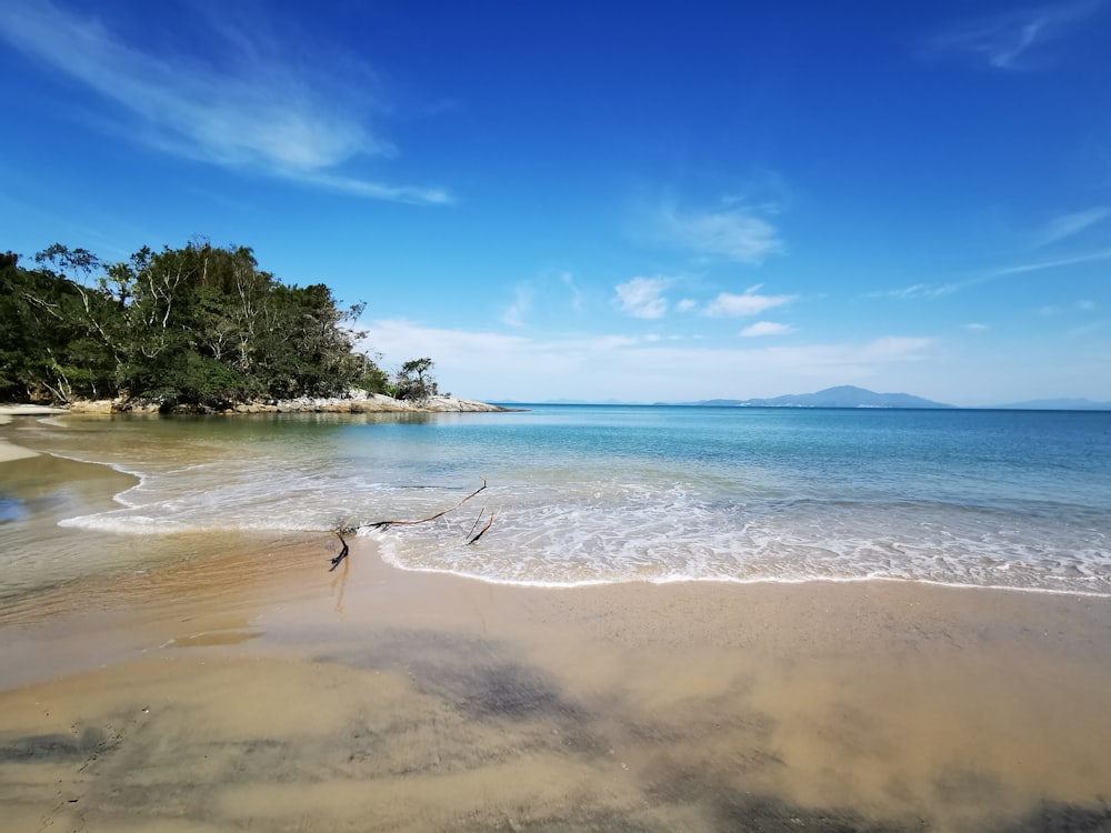 a person walking on a beach near the ocean