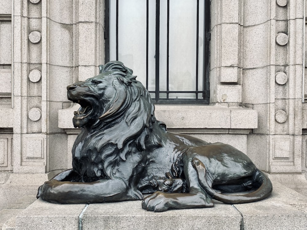 black lion statue on brown concrete wall