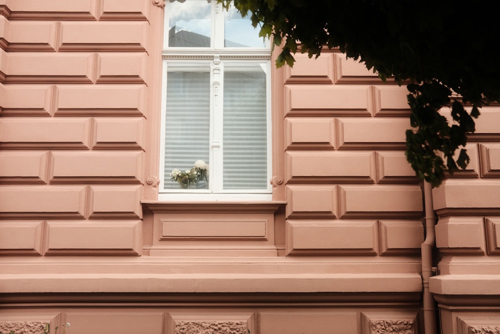 a pink building with a window and a plant in the window