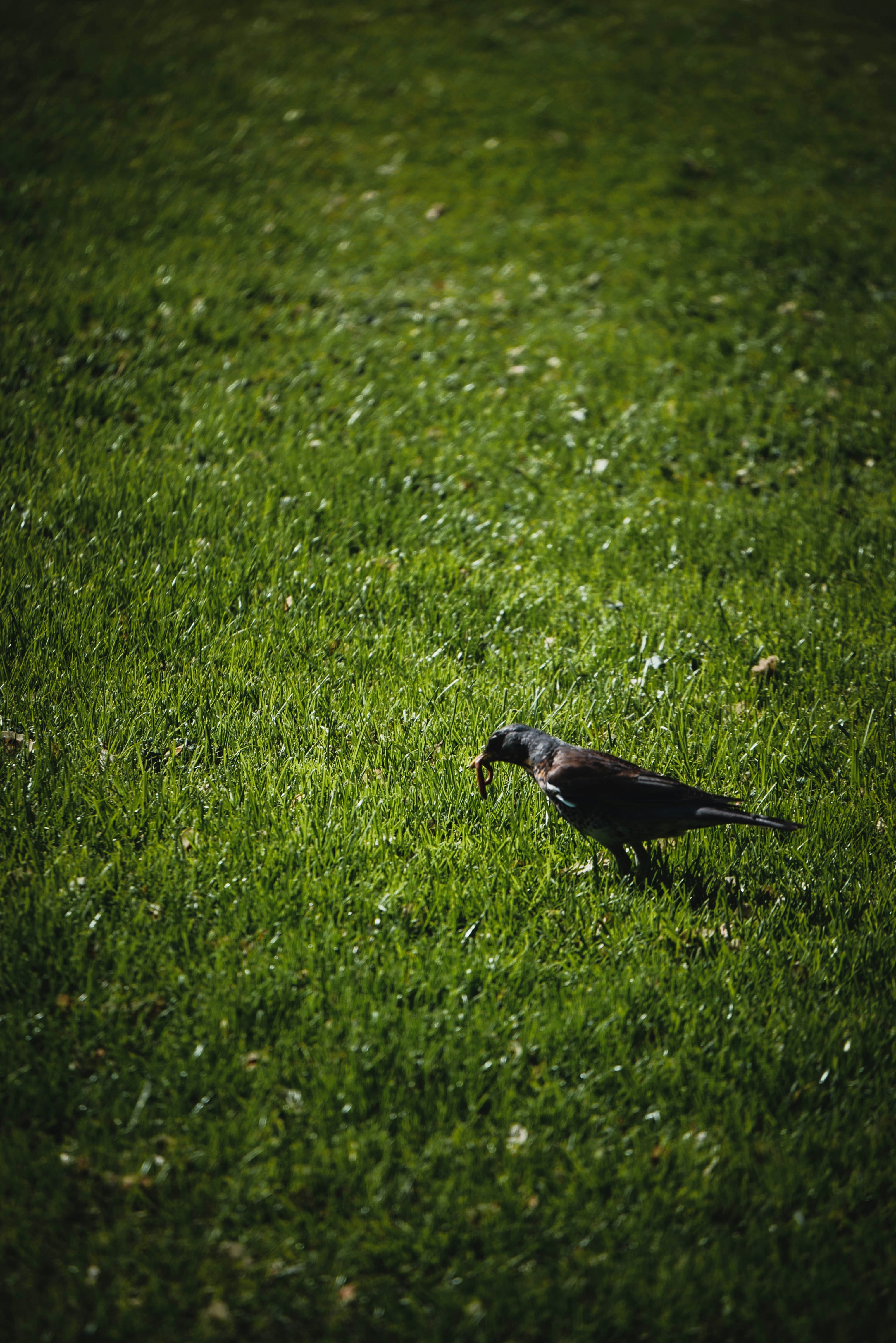 Photo by worldsofmaru